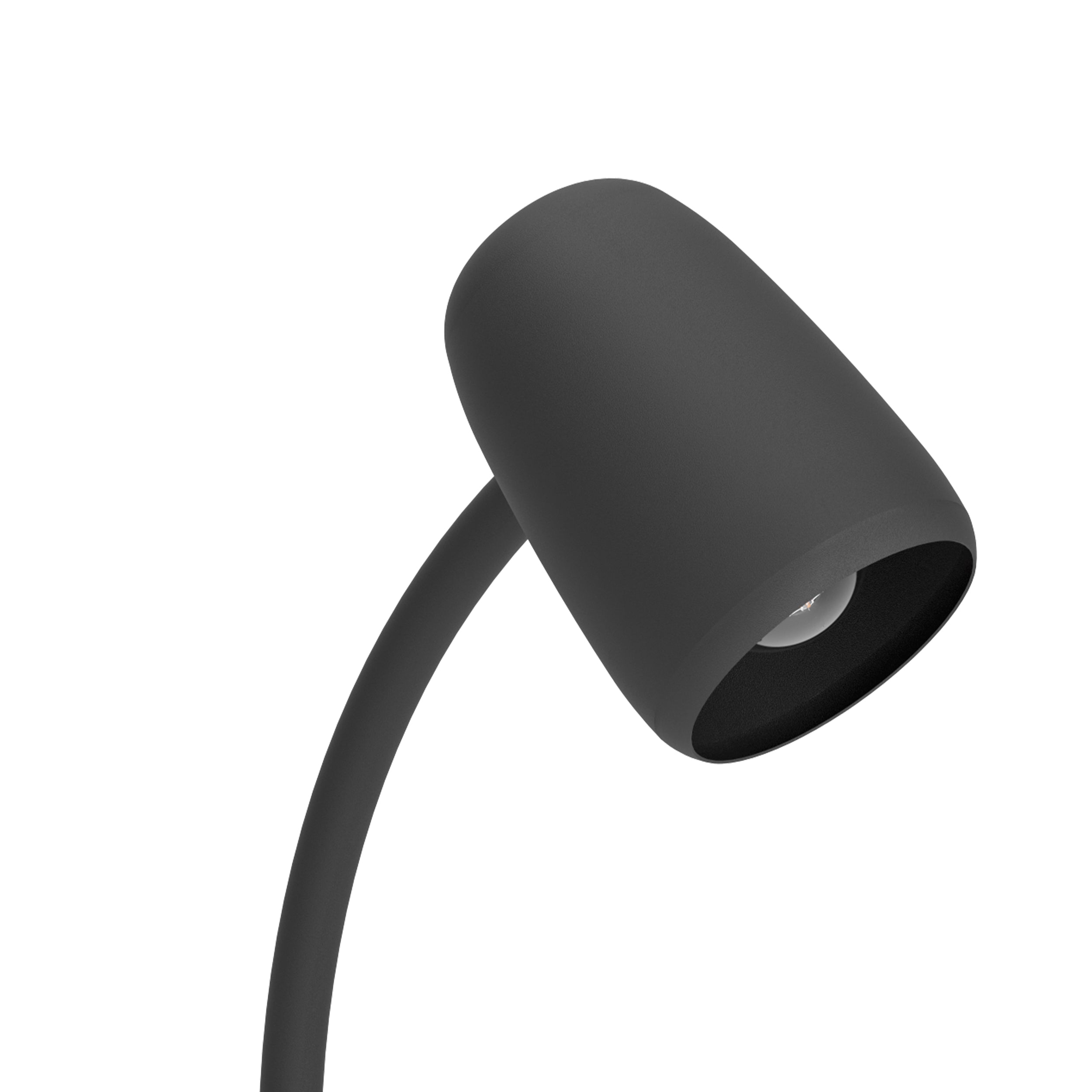 EGLO Carlo Modern Steel Flexible Desk Lamp, Black