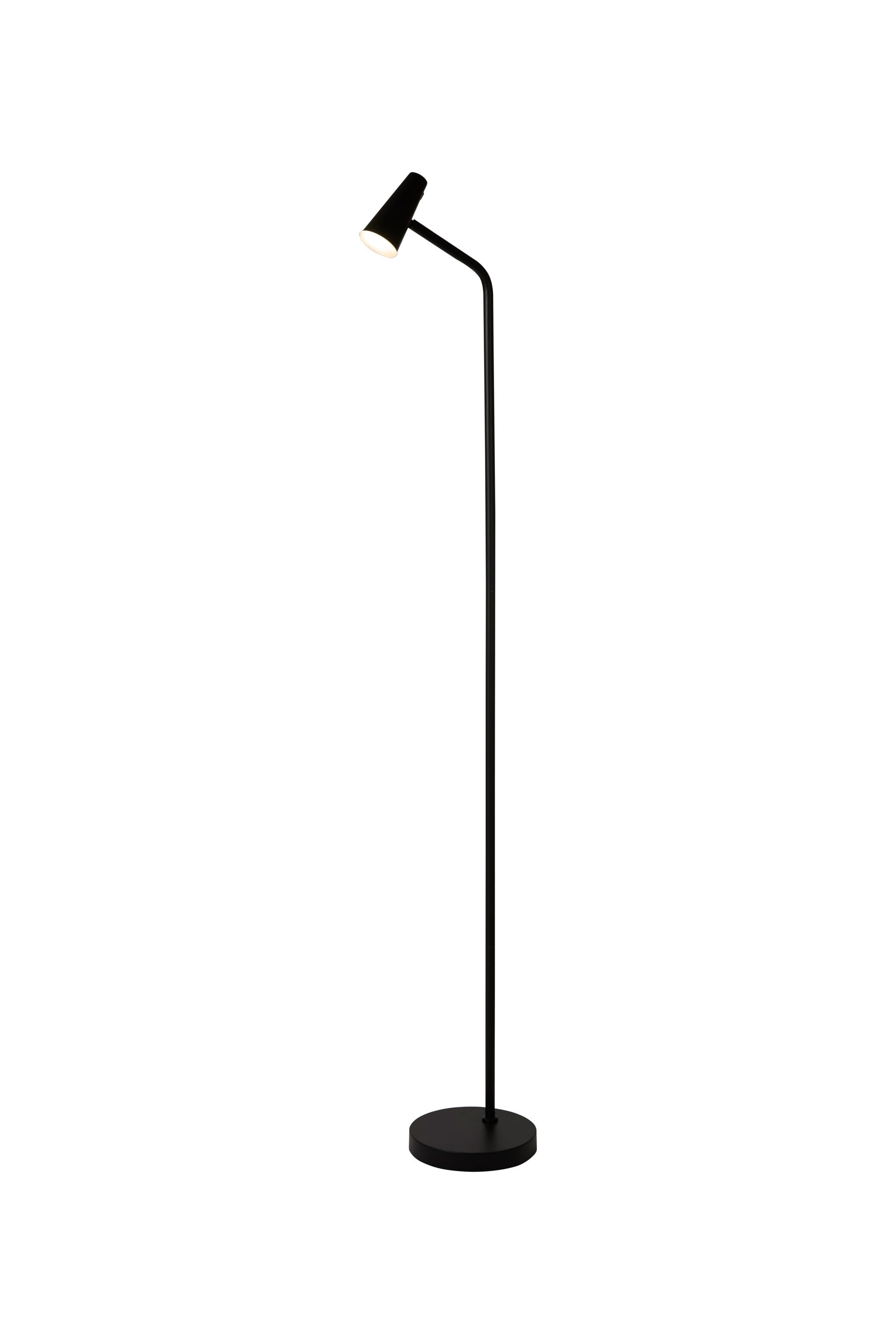 Rechargeable Floor Lamp