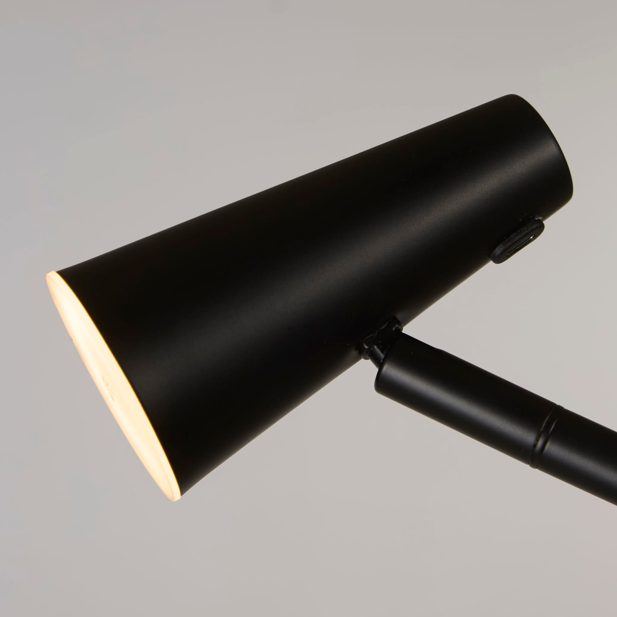 Rechargeable Floor Lamp