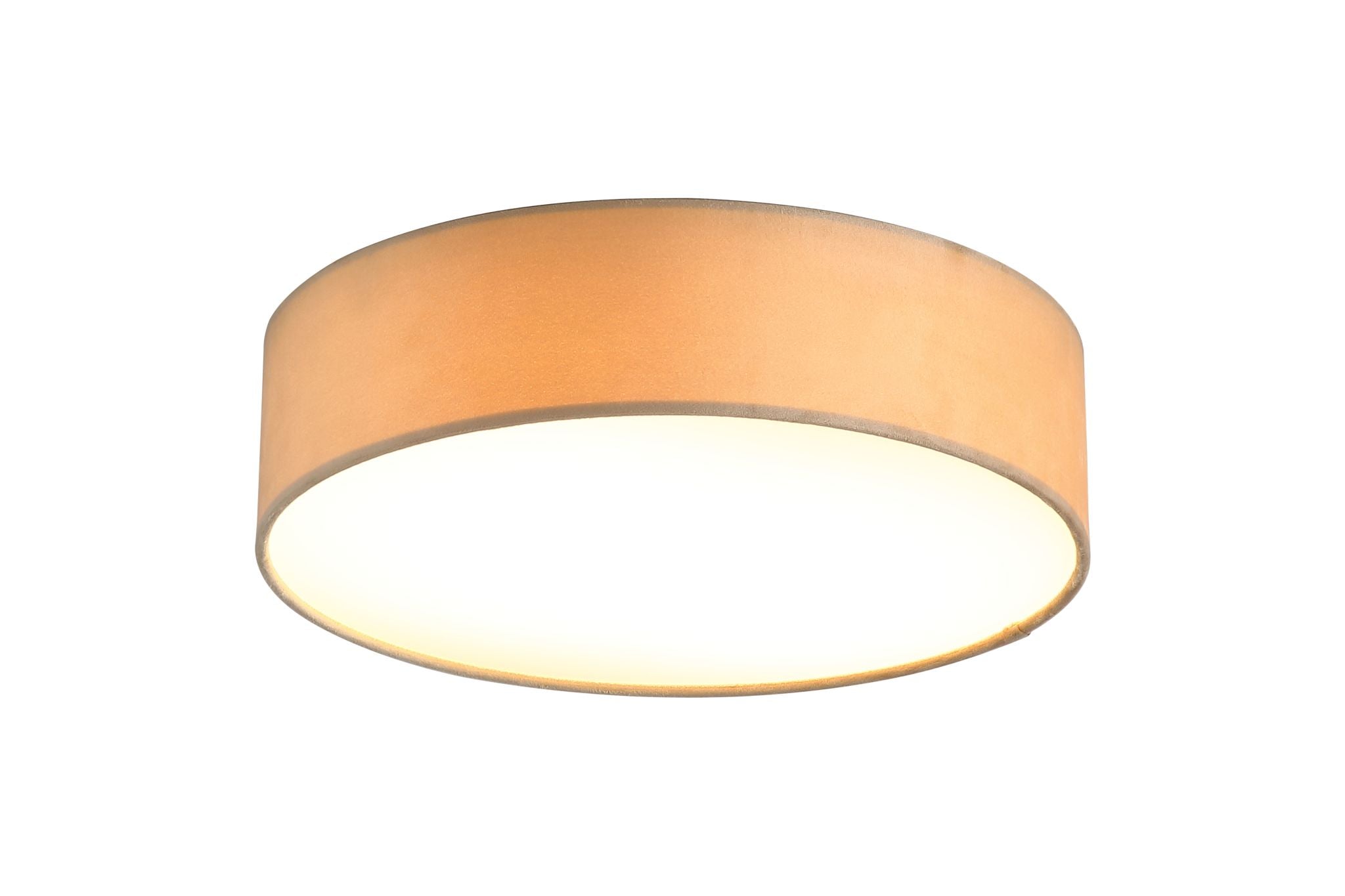Drum 2Lt  Flush