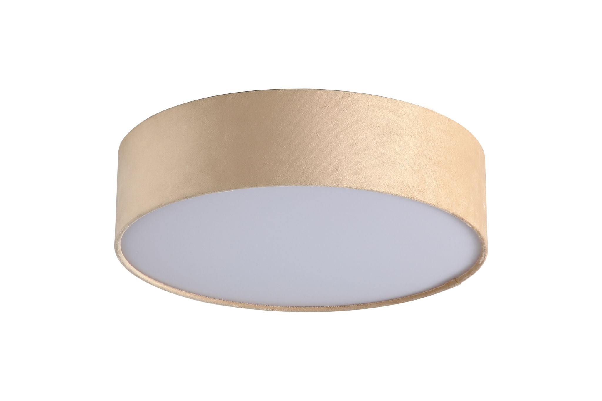 Drum 2Lt  Flush