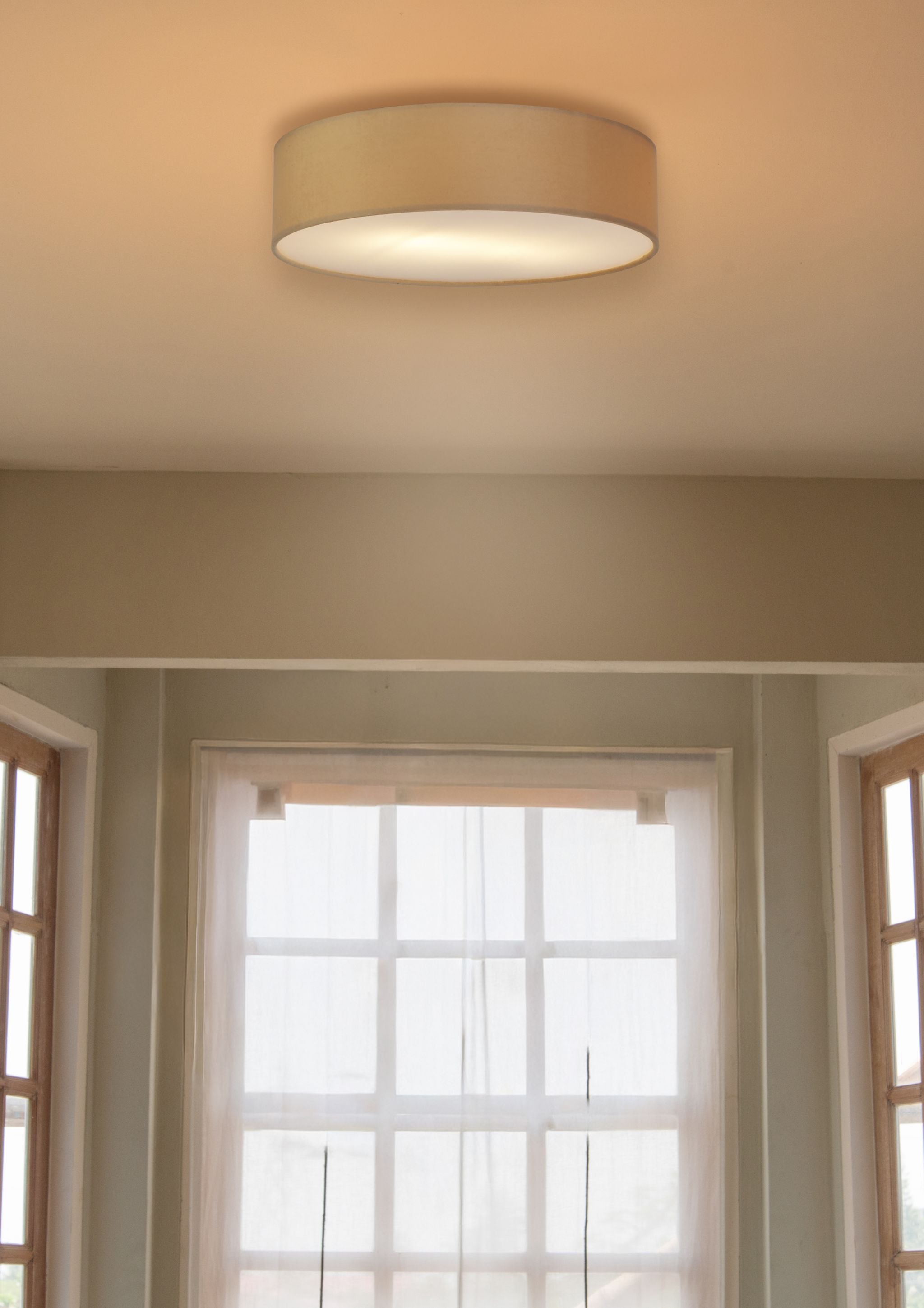 Drum 2Lt  Flush