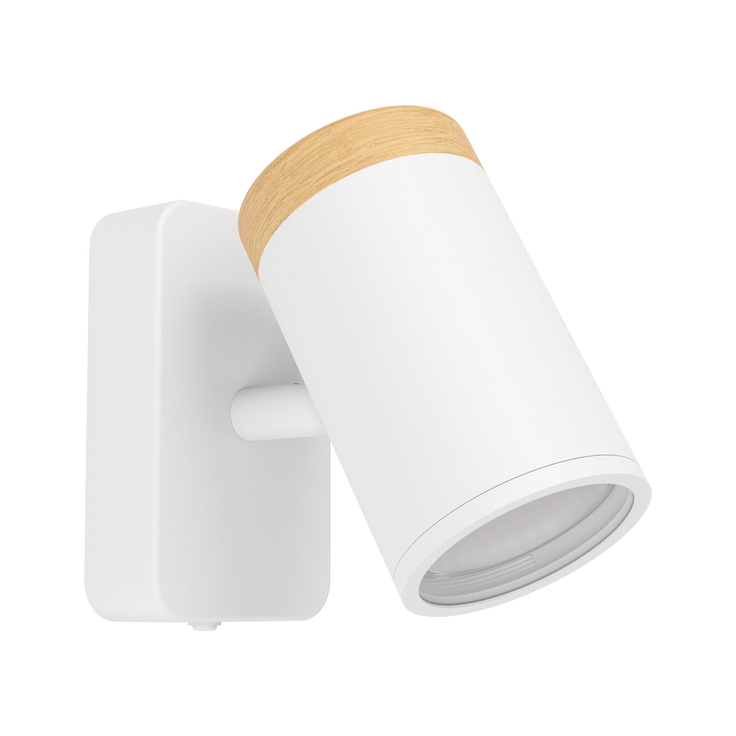 EGLO Castorama White & Brown Bathroom LED Wall Spotlight