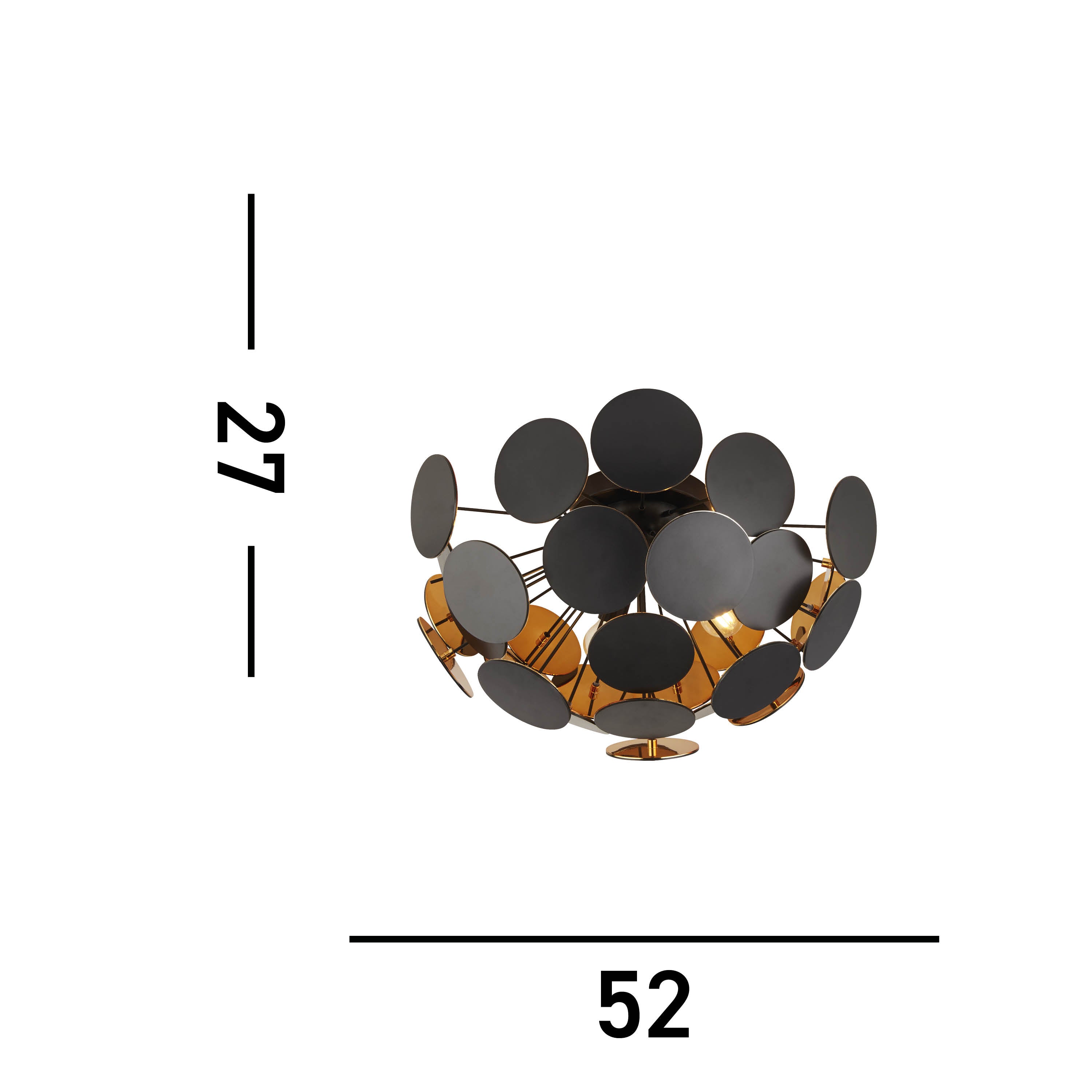 Discus-3073-3