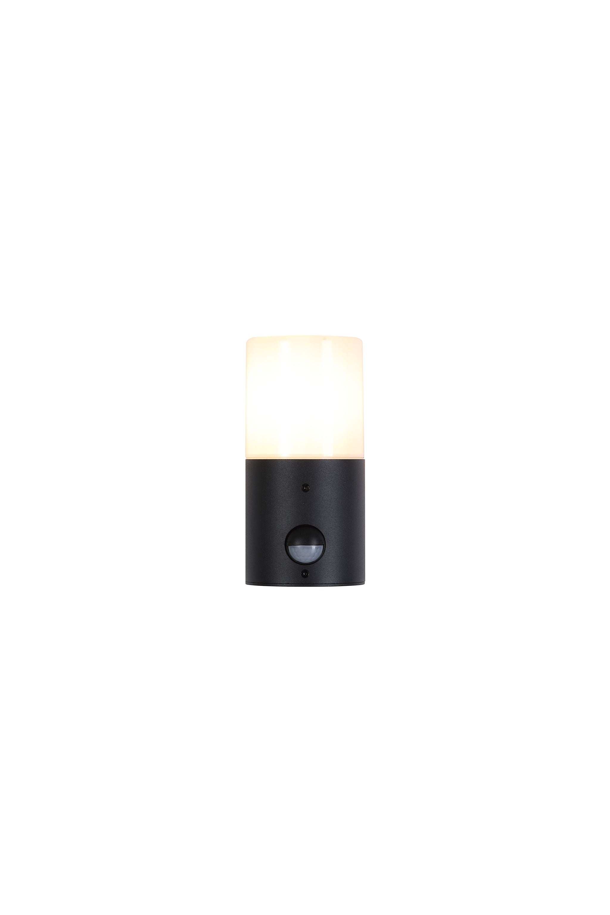 Colorado LED Outdoor Wall Light
