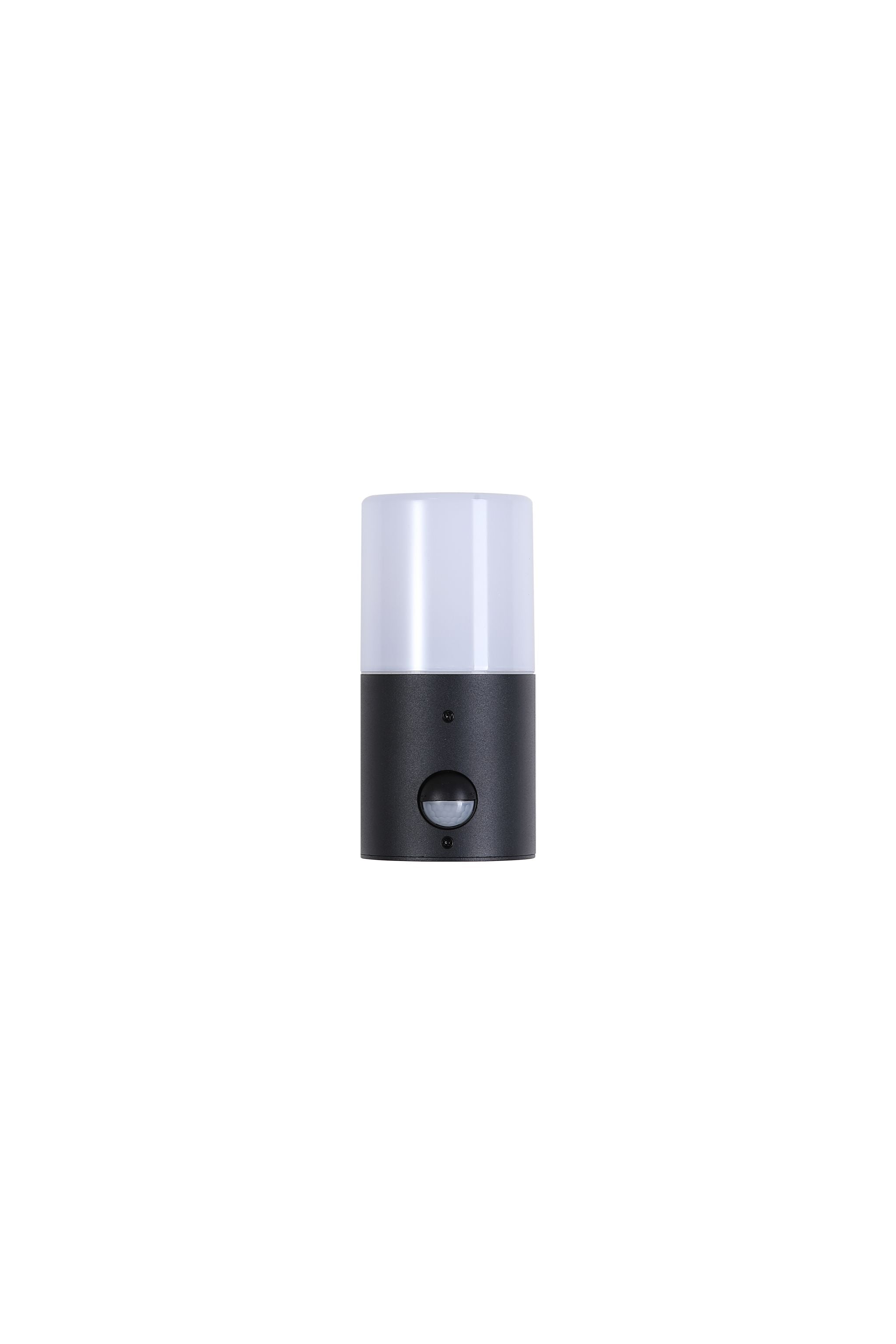 Colorado LED Outdoor Wall Light