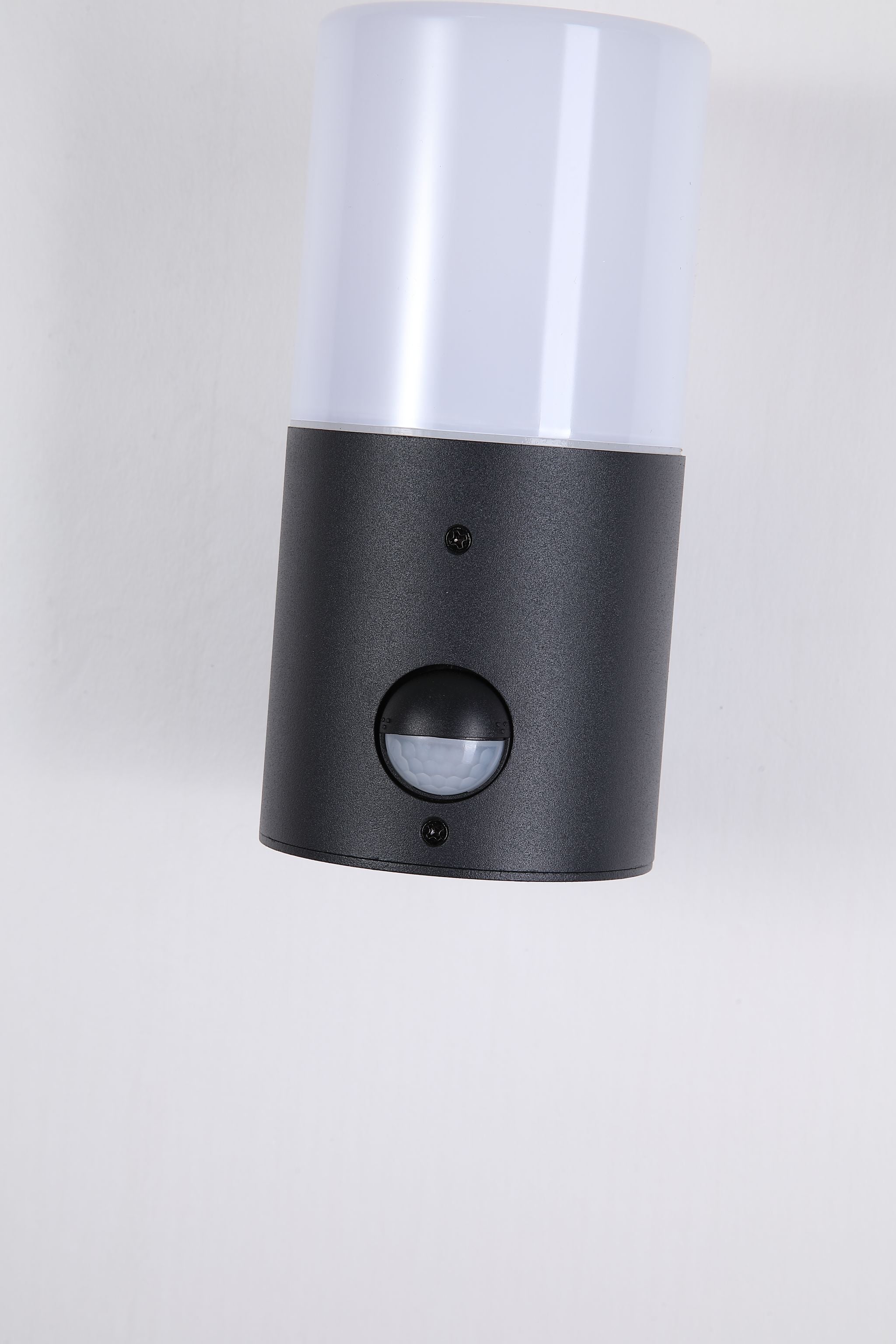 Colorado LED Outdoor Wall Light