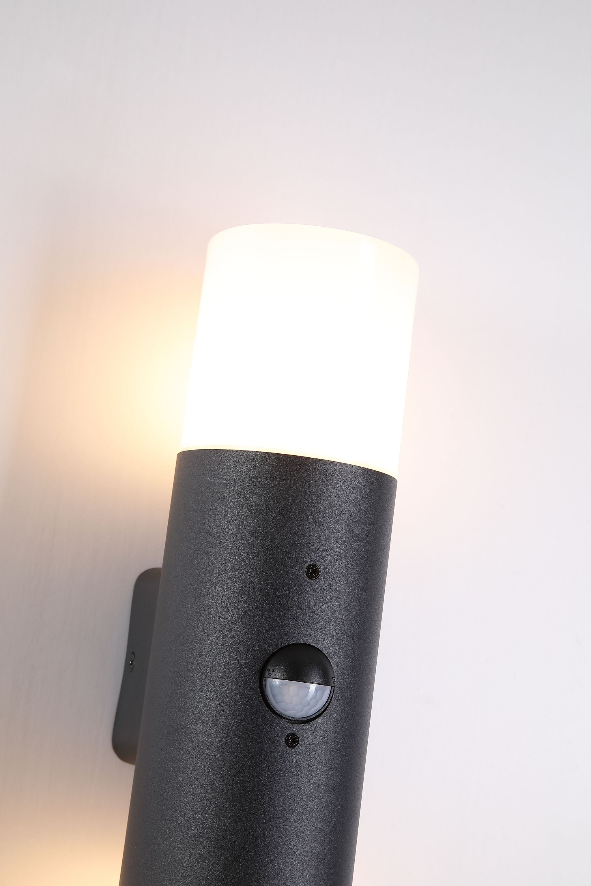 Colorado LED Outdoor Up/Down Wall Light