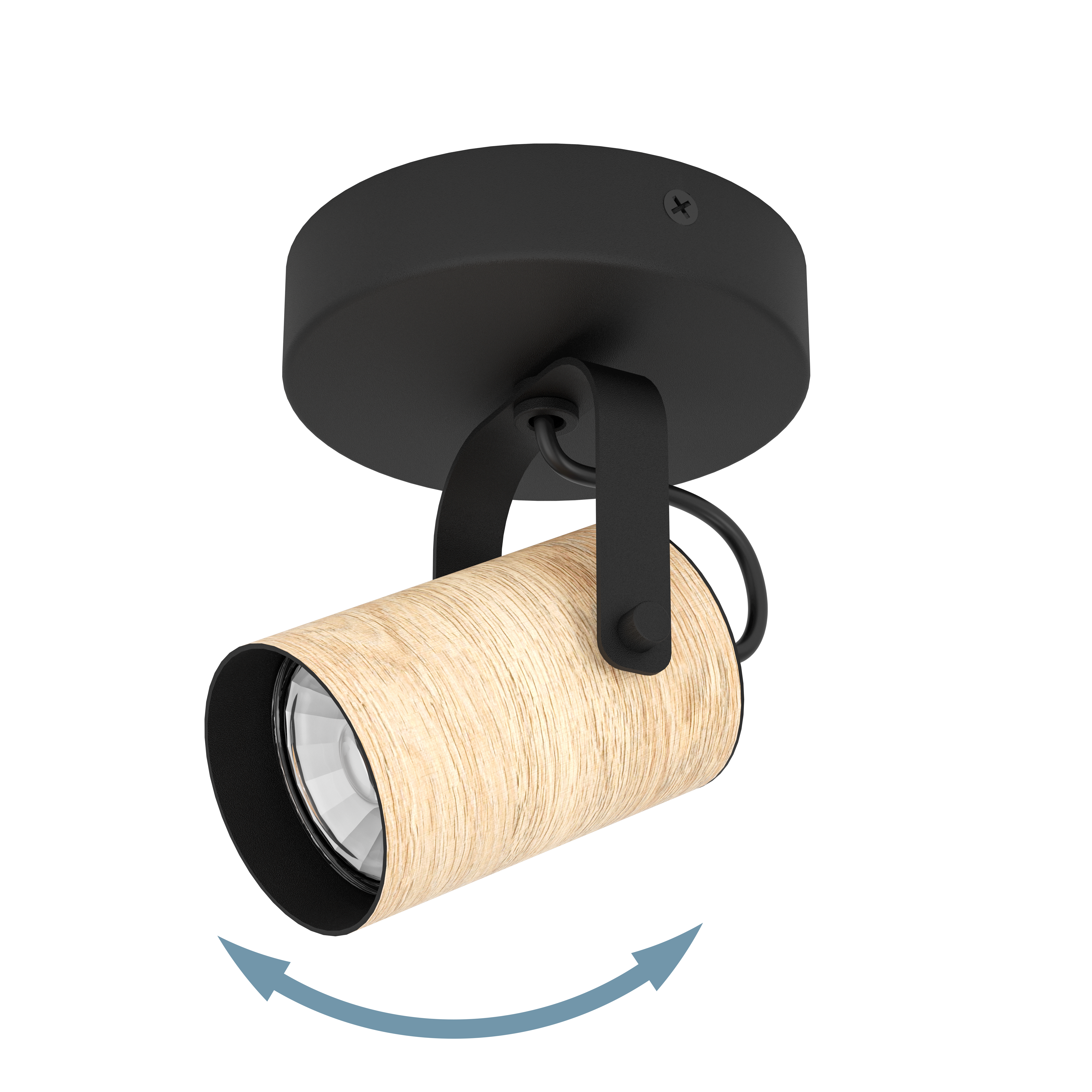 CAYUCA Single Spot Light