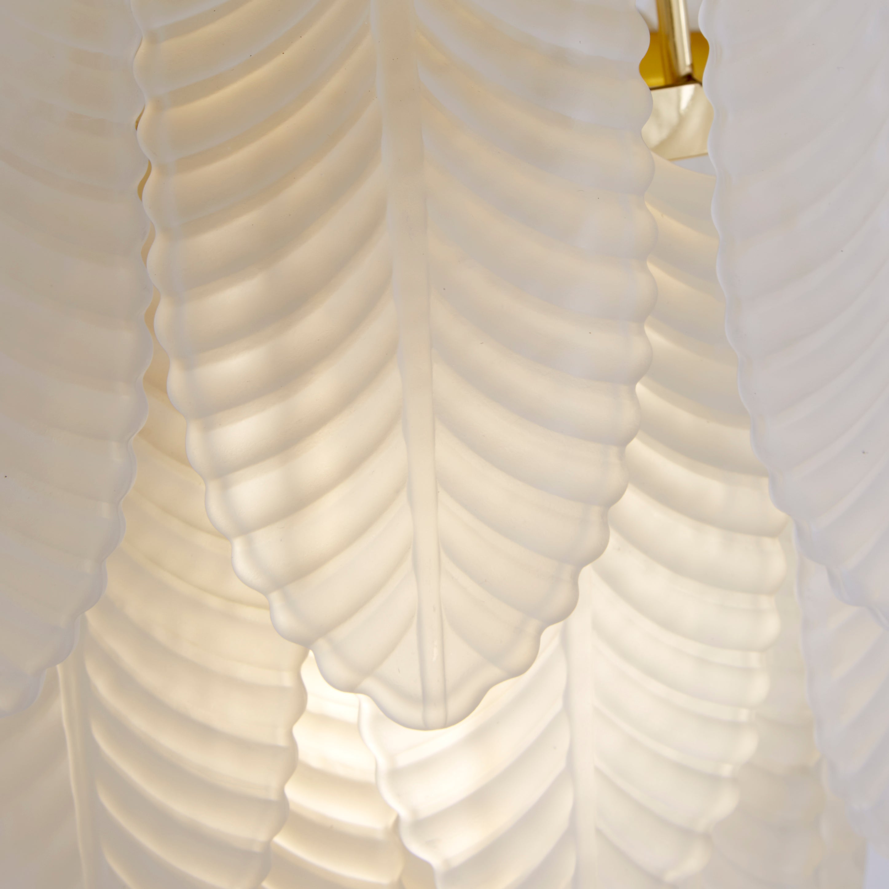 Feather Wall Light