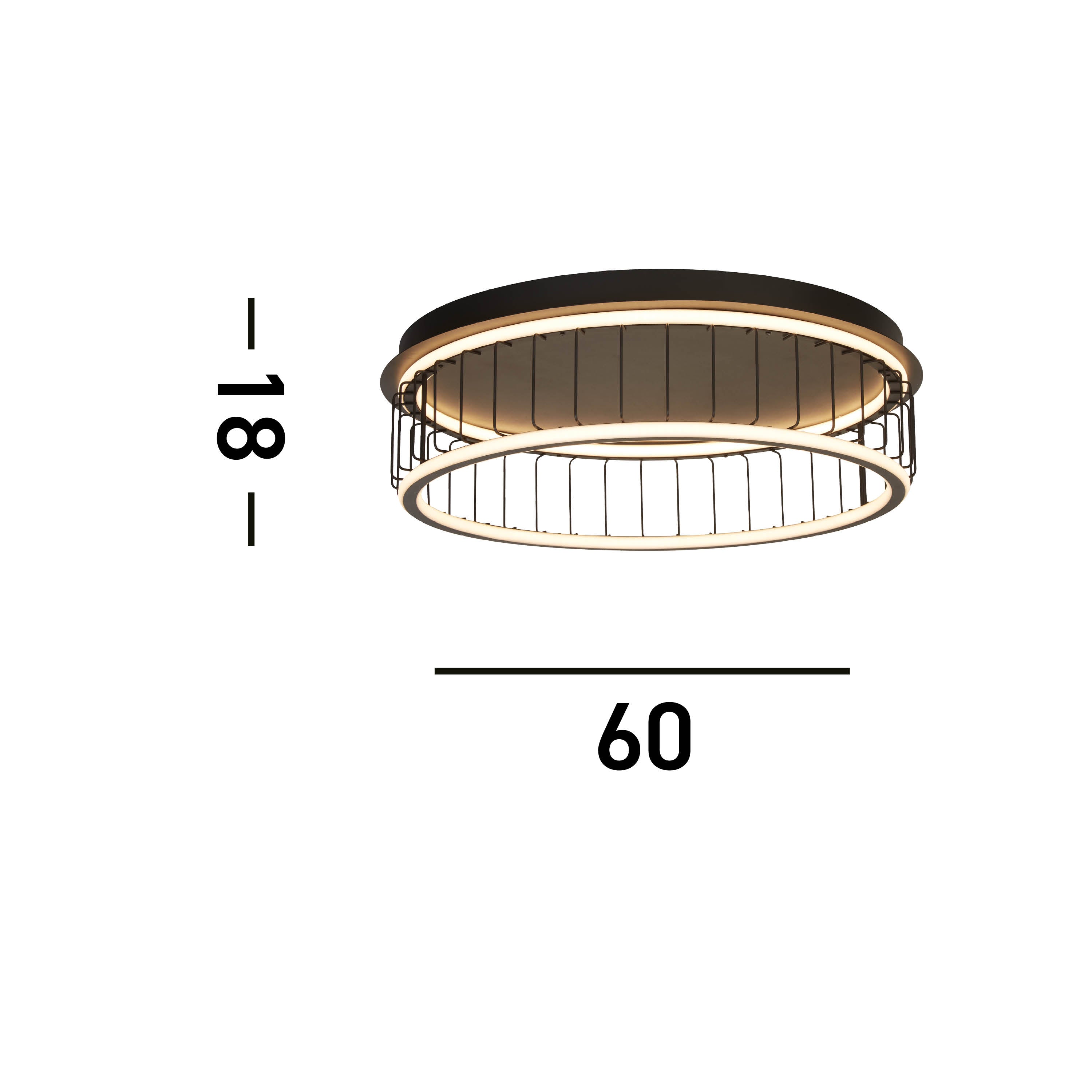 Circolo-54216-1