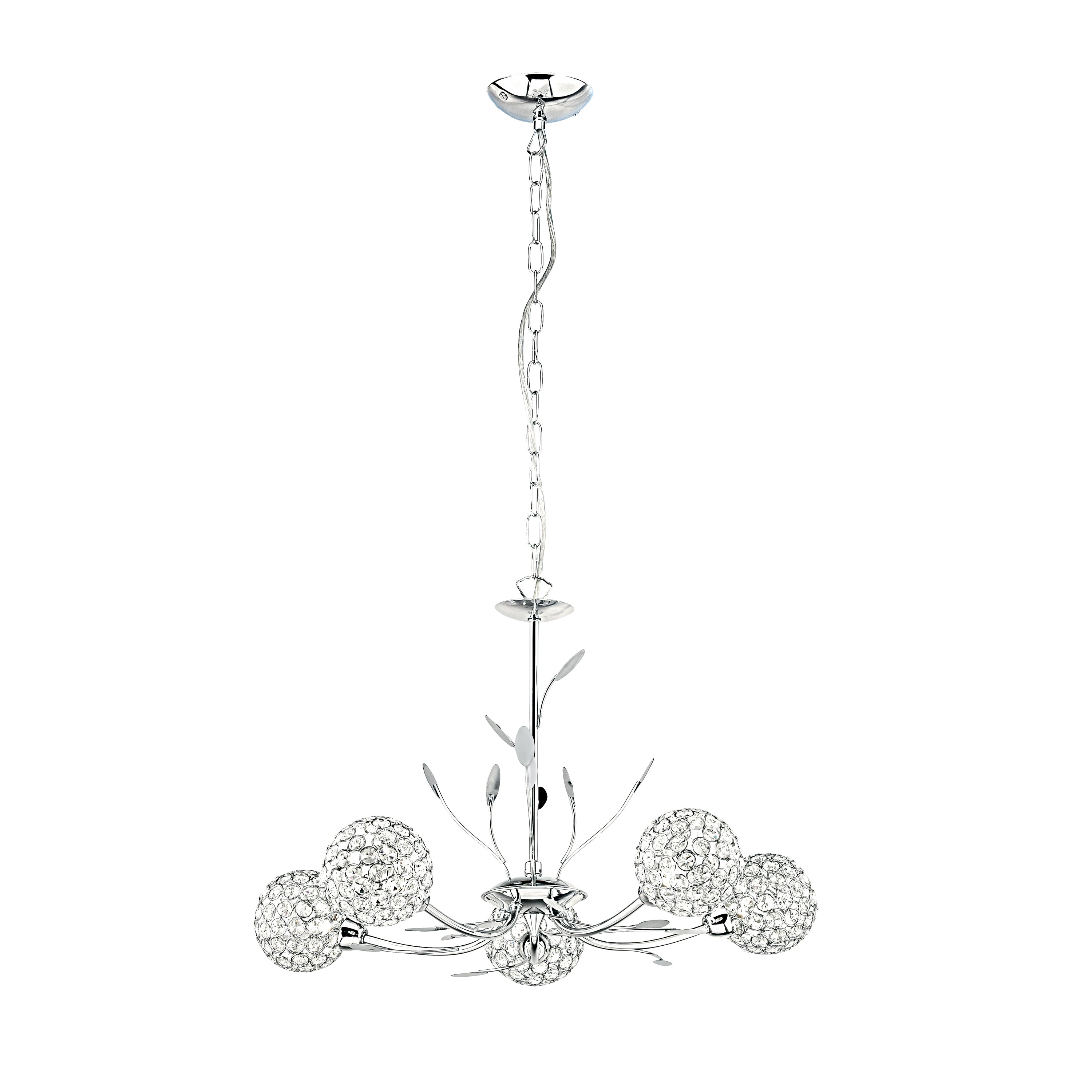 Bellis Ii-5575-5
