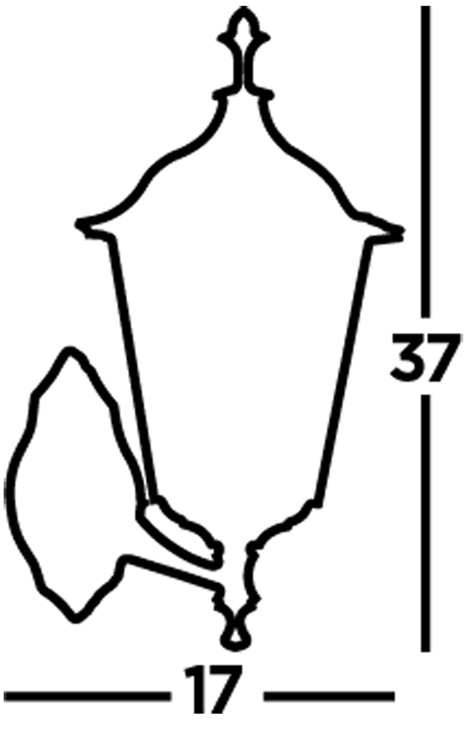 Alex 68001