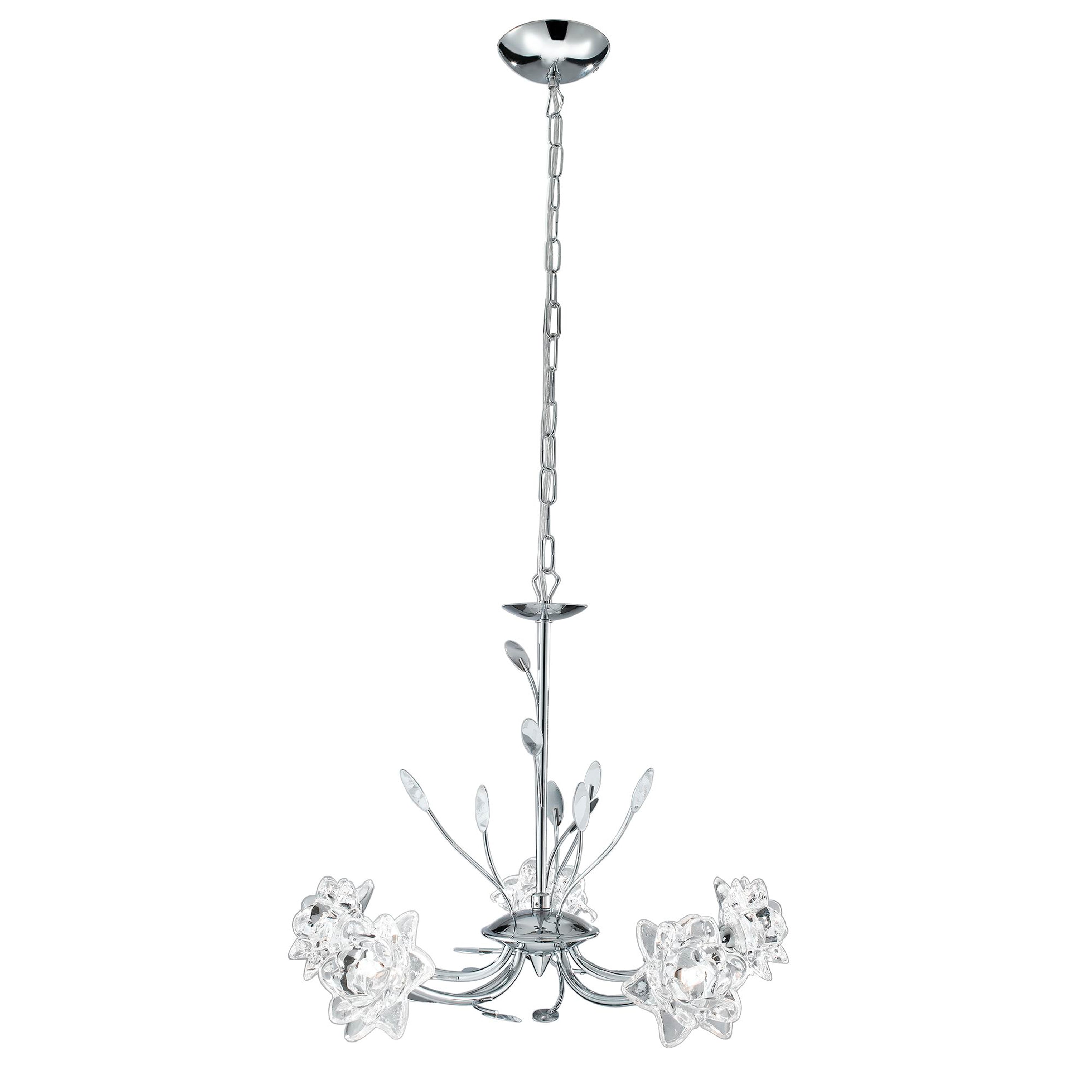 Bellis-8285-5