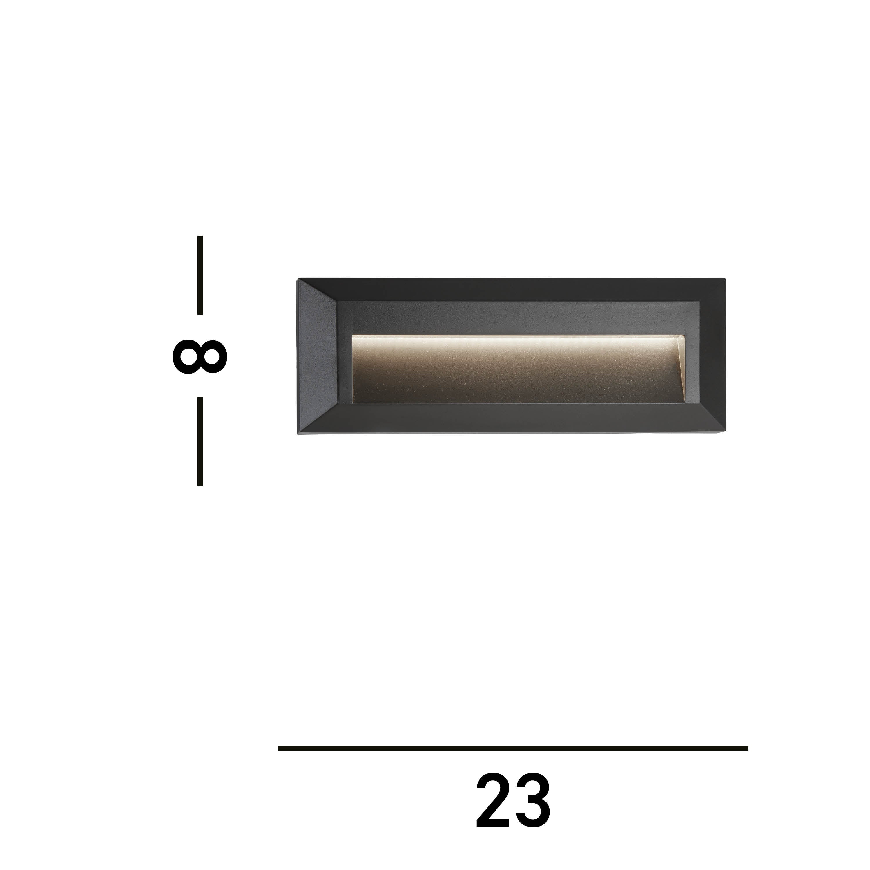 Ankle-8732