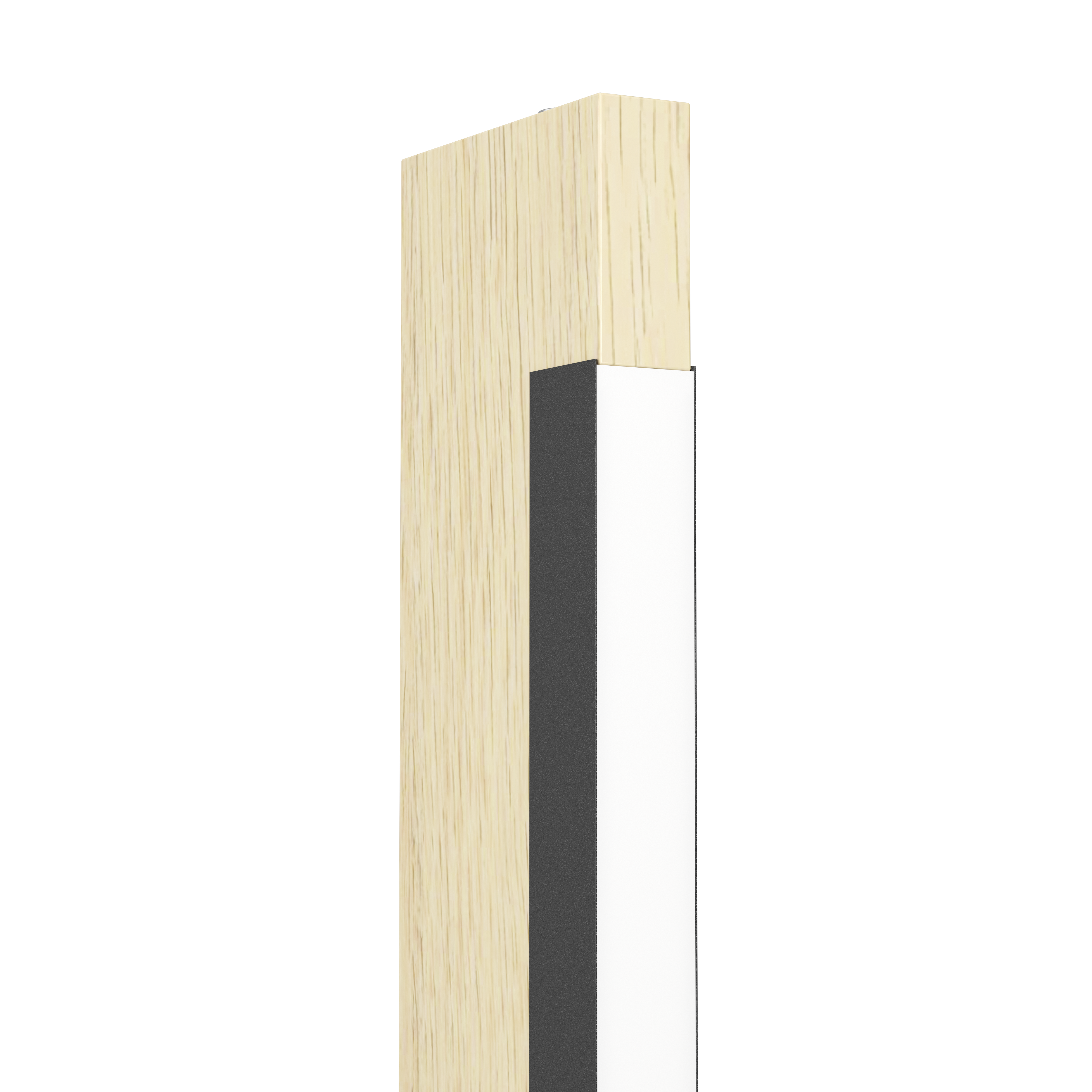 CAMACHO 99296