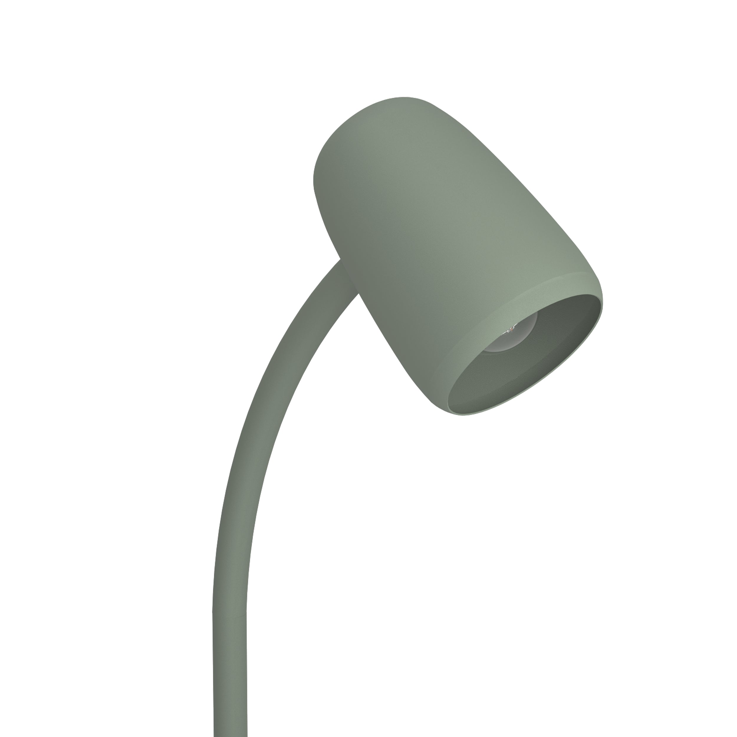 EGLO Carlo Modern Steel Flexible Desk Lamp, Green