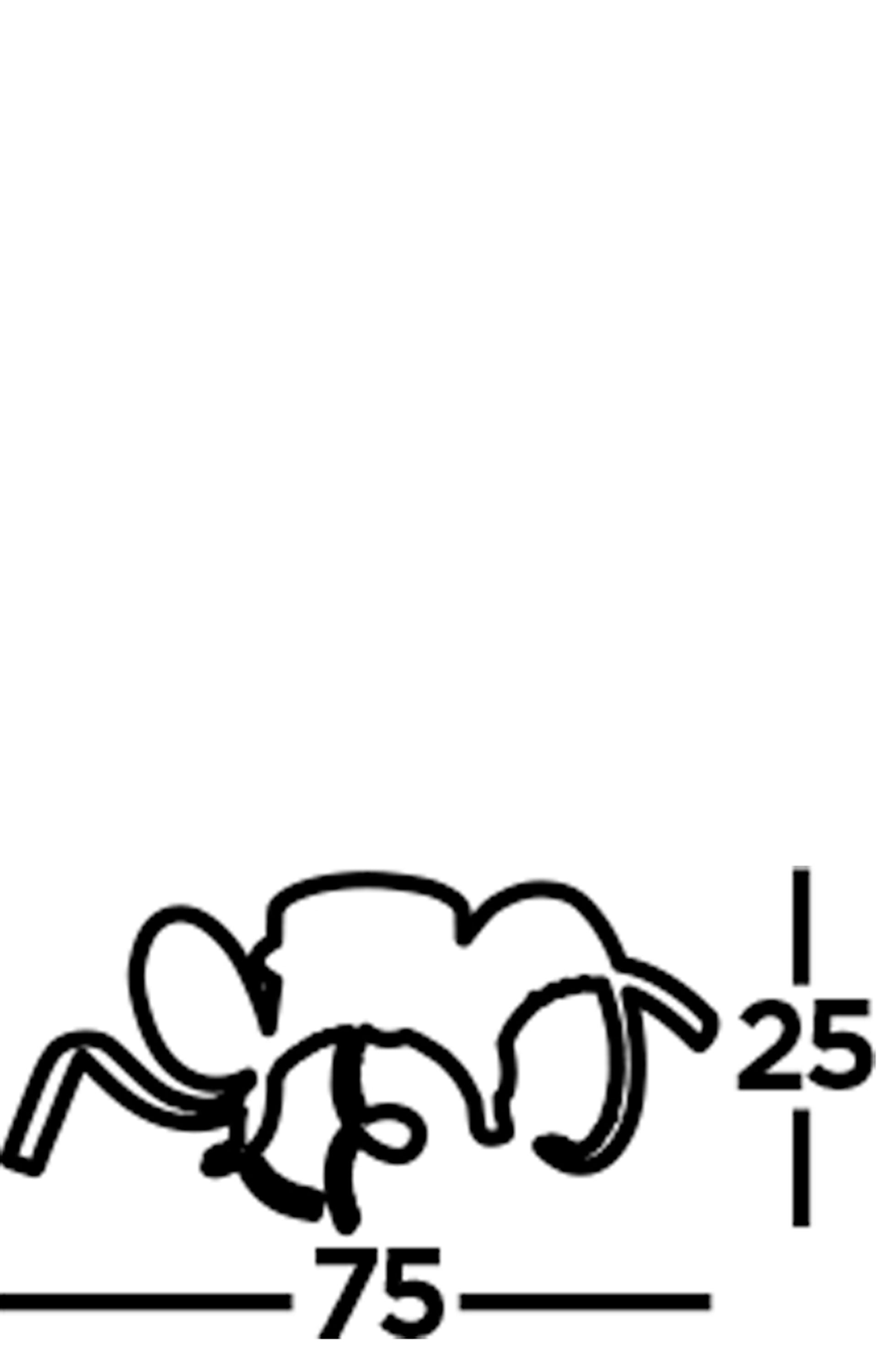 Twirls-9233-3