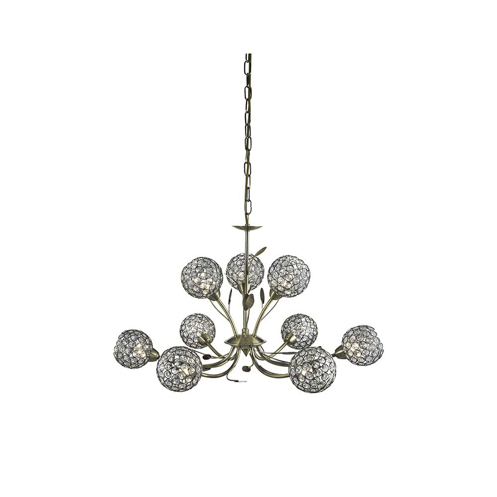Bellis Ii-5579-9