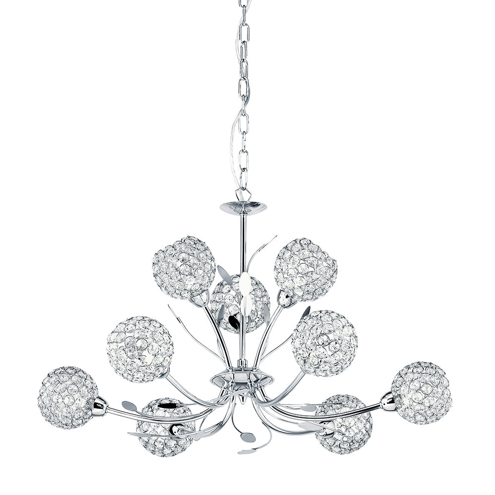 Bellis Ii-5579-9