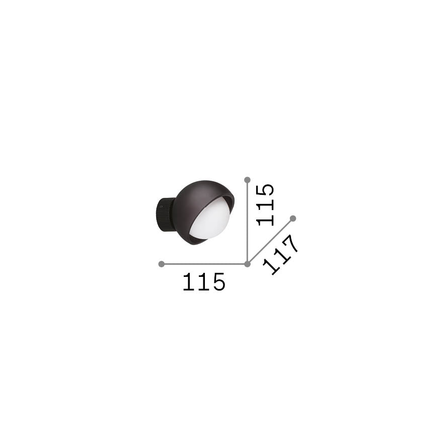 BLOOM AP1 D12