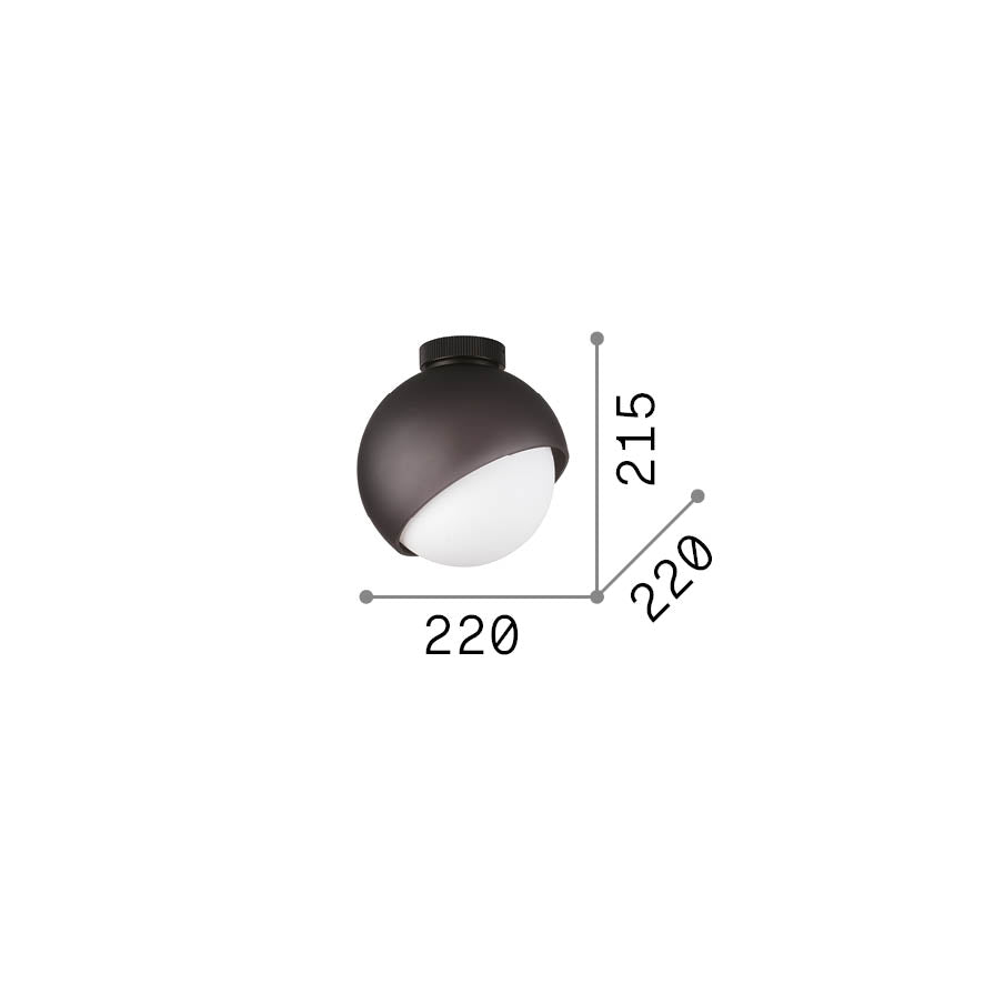 BLOOM PL1 D22