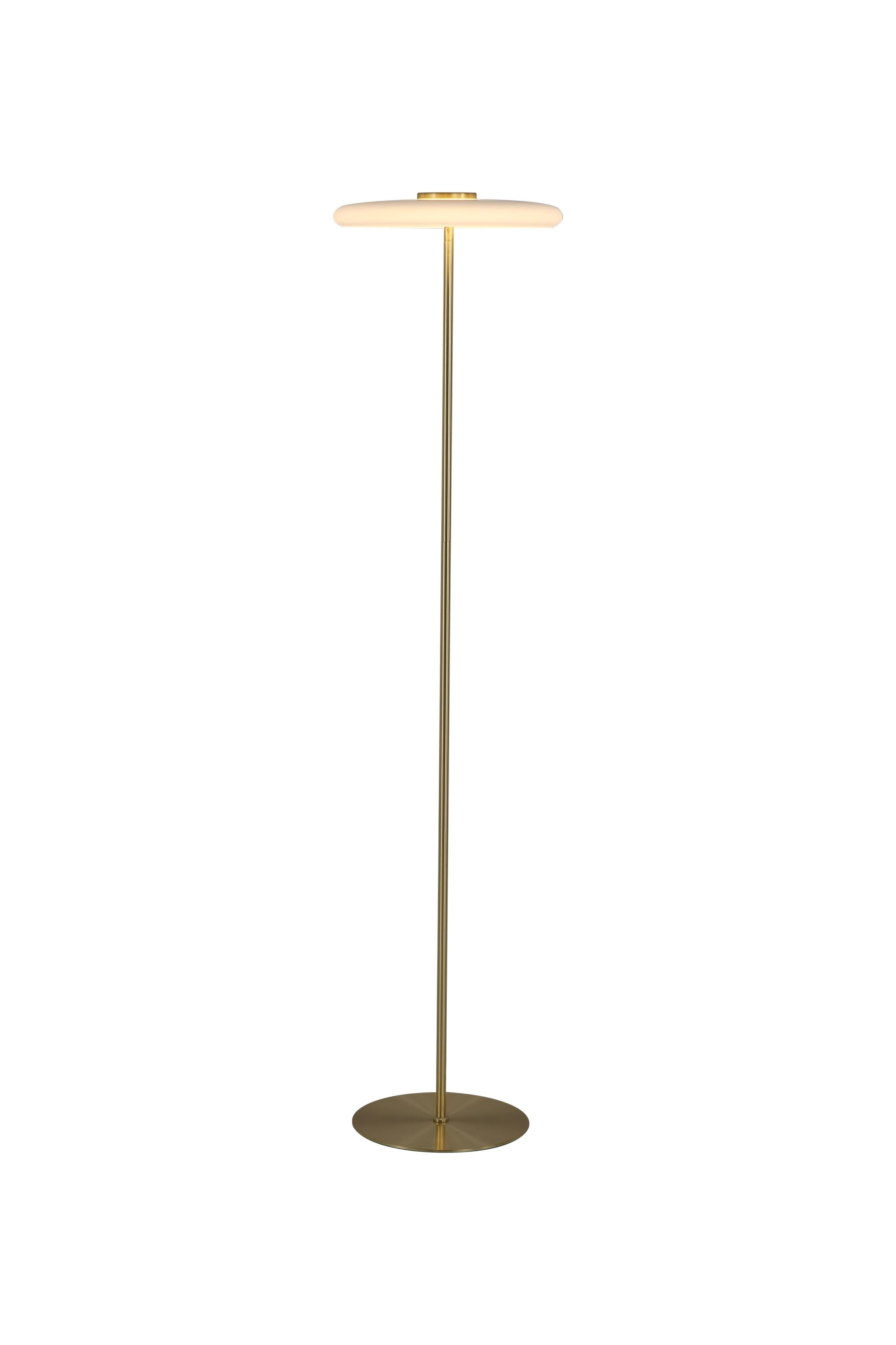 Record 1Lt Floor Lamp