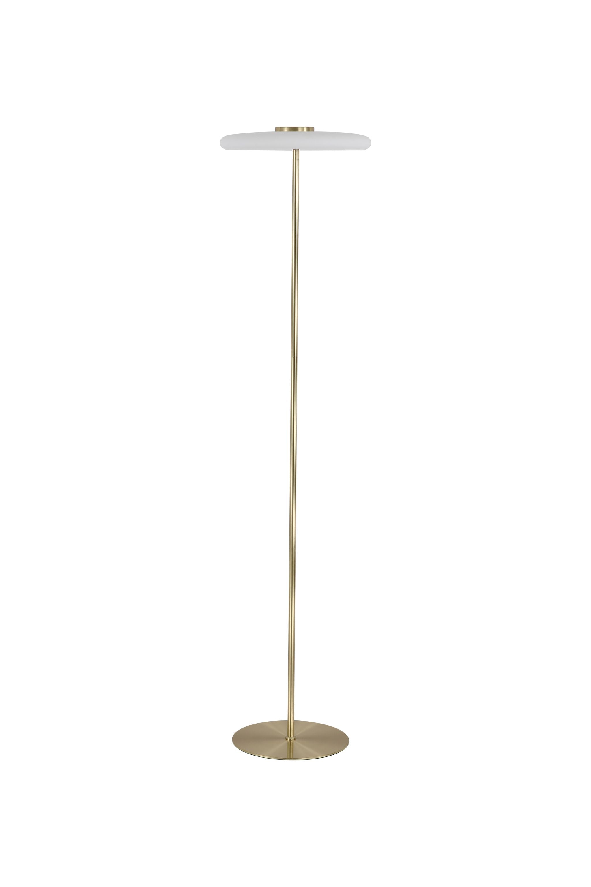 Record 1Lt Floor Lamp