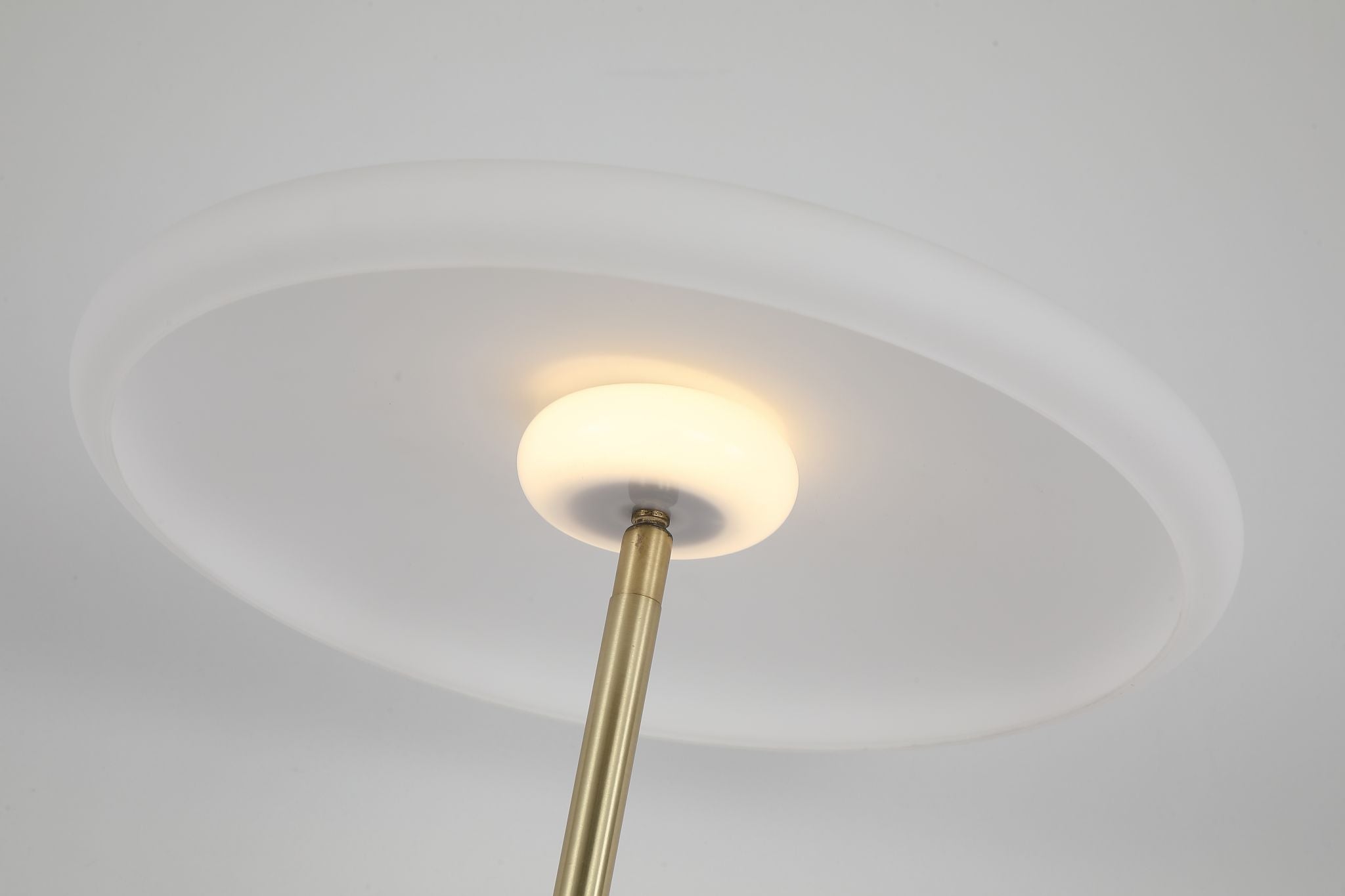 Record 1Lt Floor Lamp