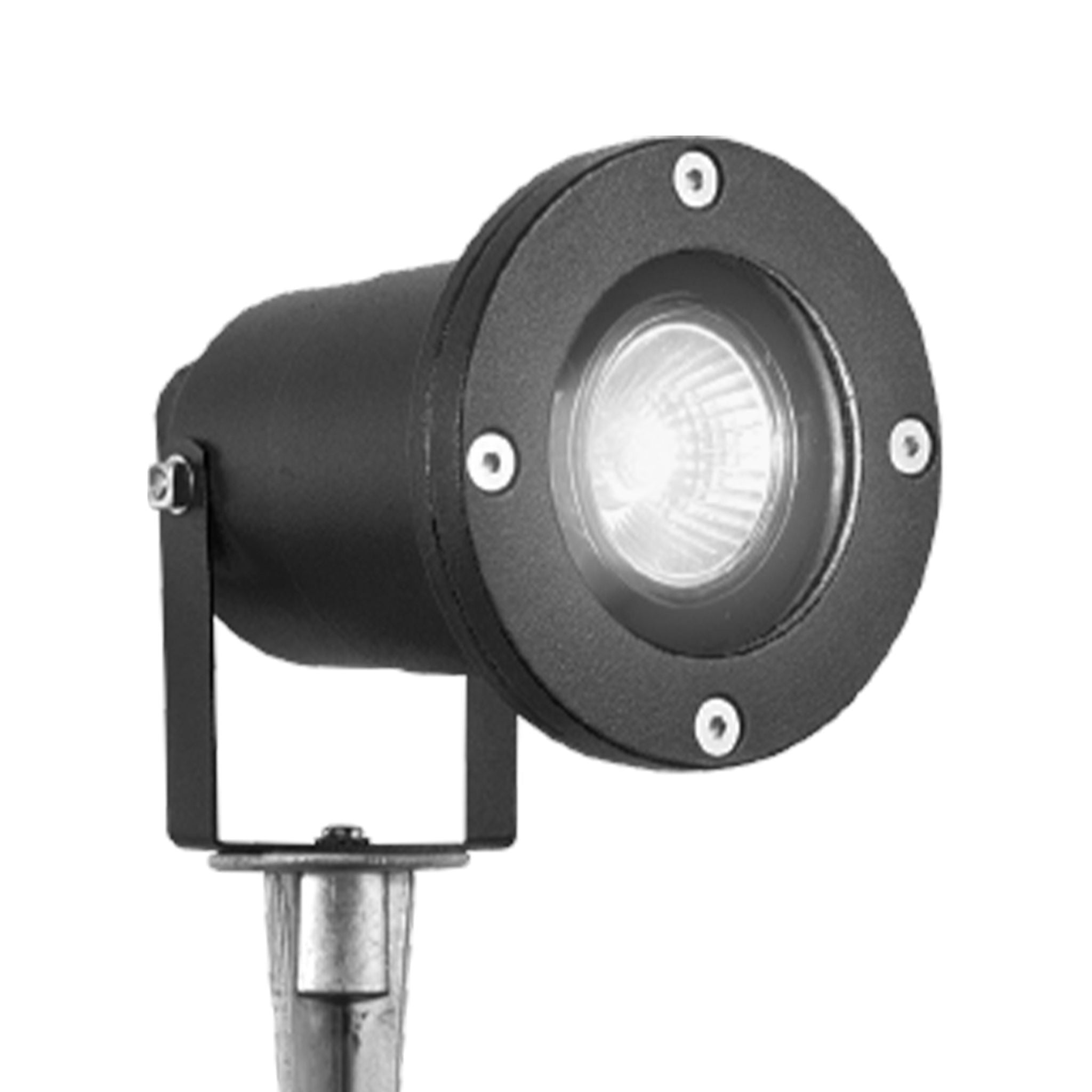 Spikey Outdoor Spotlight