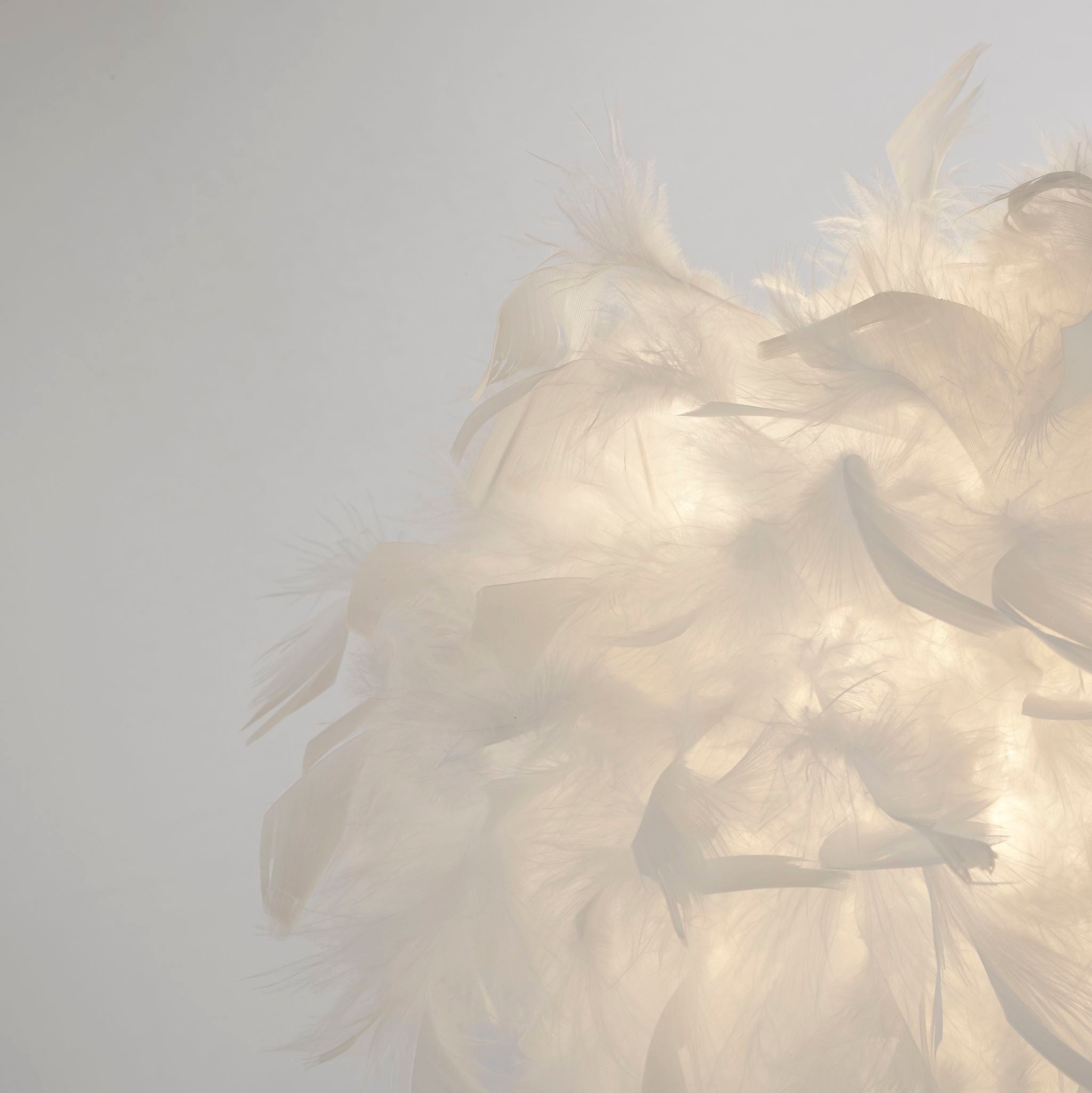 Hattie Table Lamp - White Feather & Chrome Metal