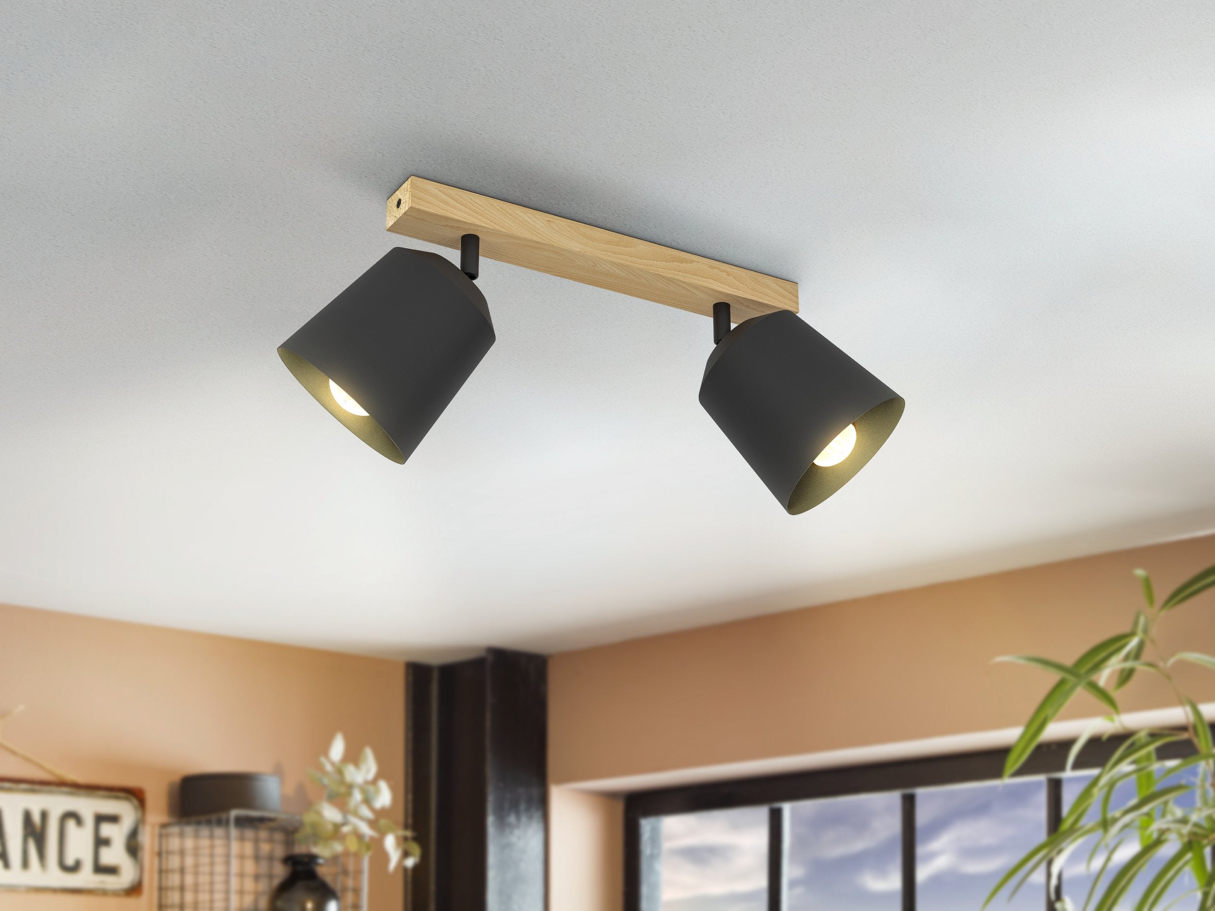 COTORRO Double Spot Light