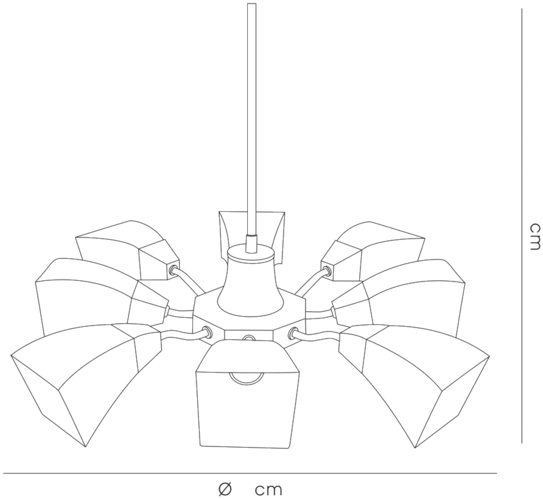 chievo_IL10202
