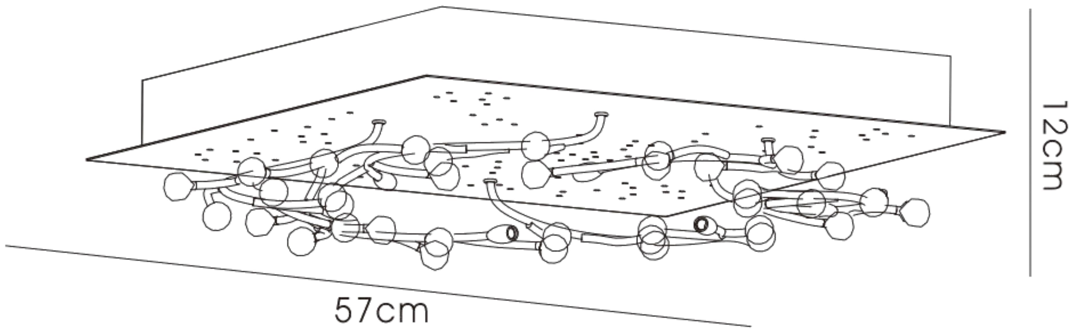 fia_IL30636
