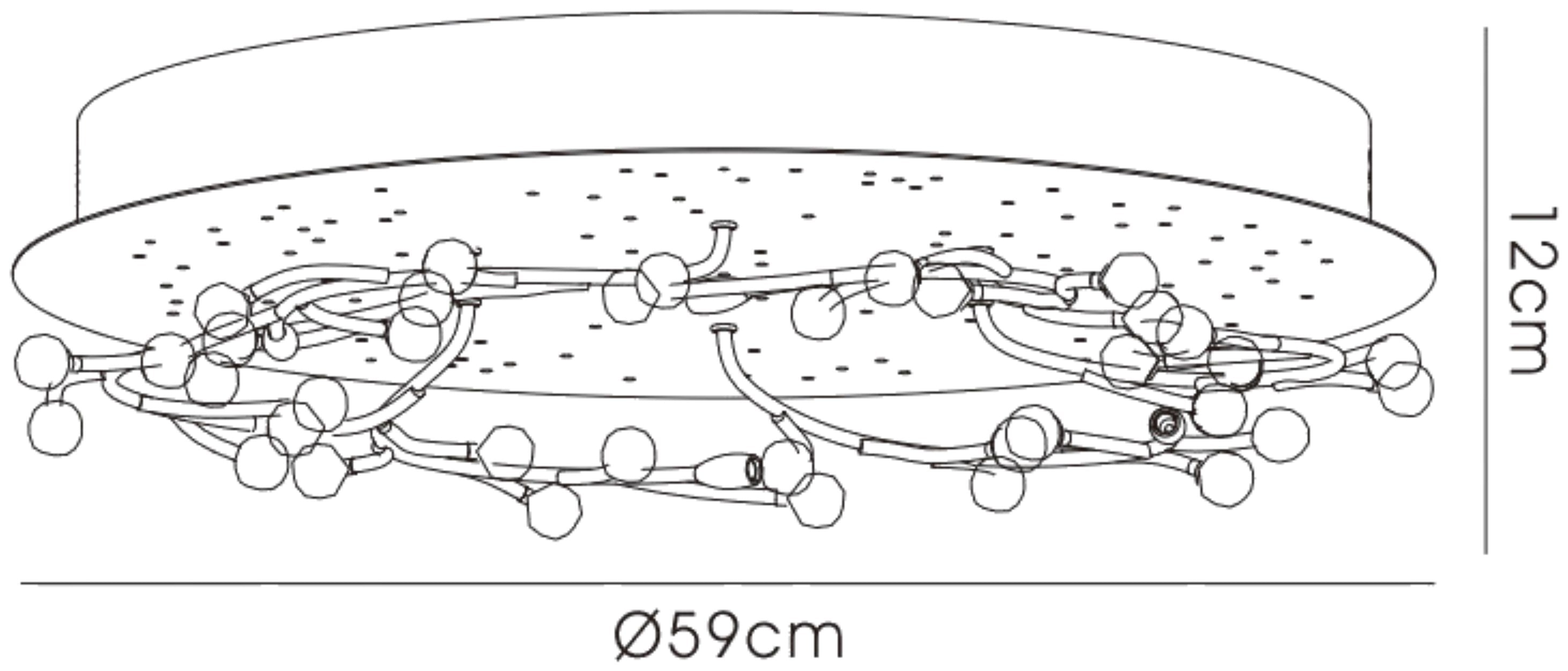 fia_IL30637