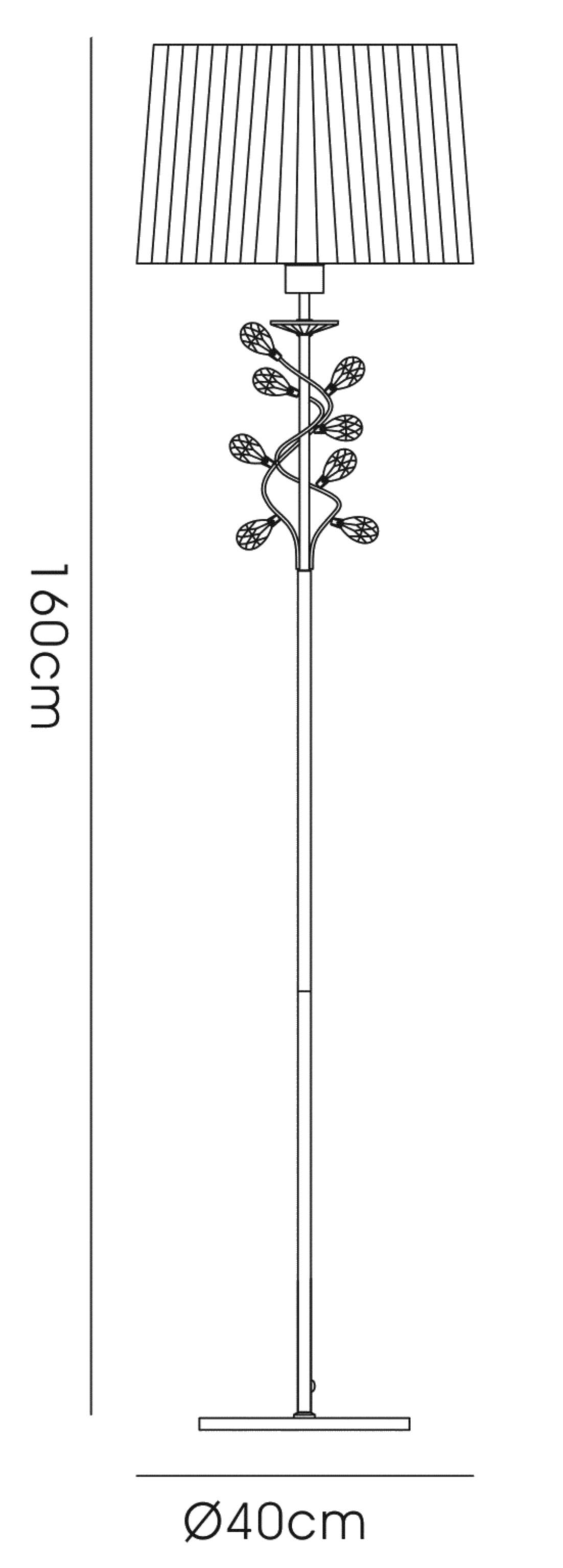 willow_IL31224
