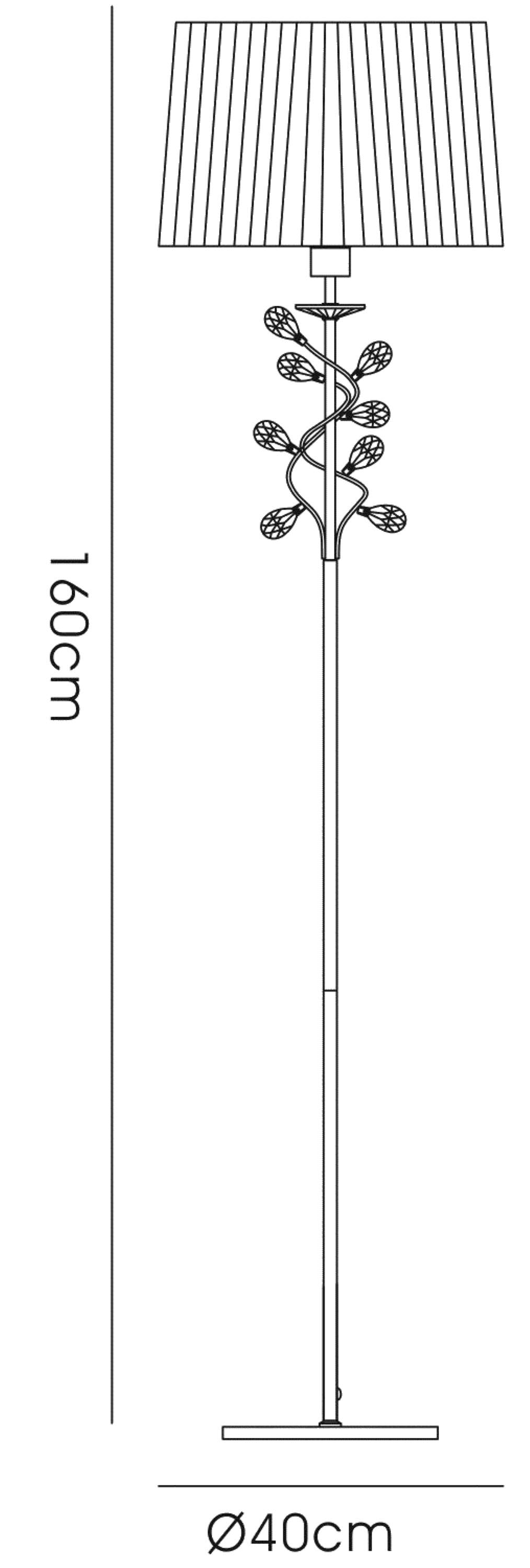 willow_IL31224/WH