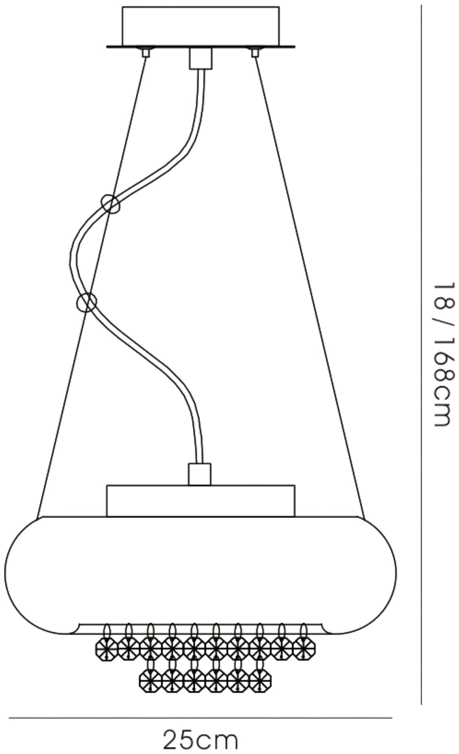 phyllis_IL31561