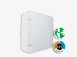 MAXI Power Selectable CCT Square EMERGENCY Bulkhead