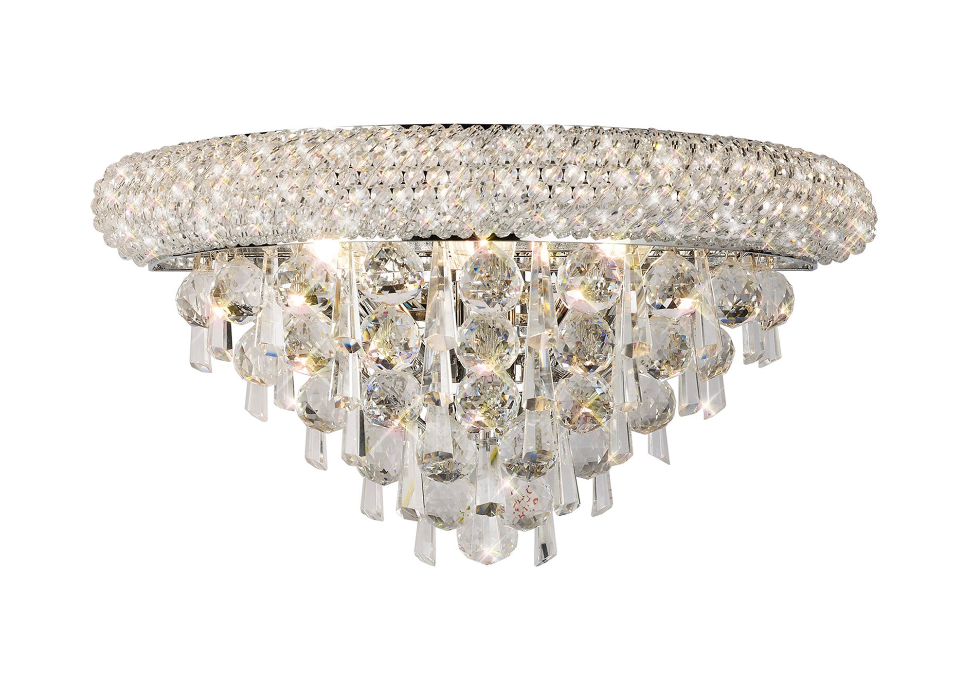 alexandra_IL31441
