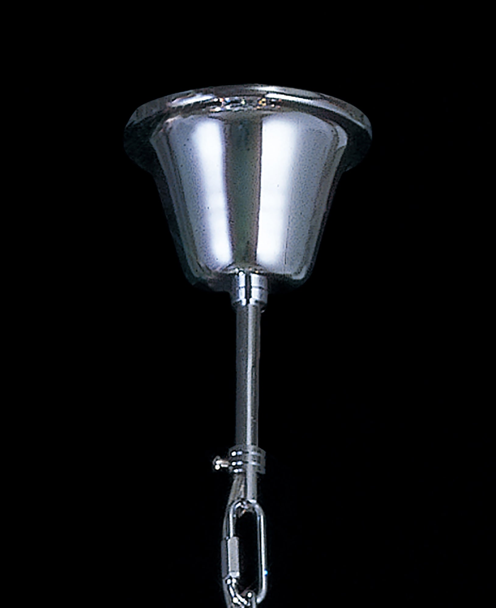 bask_IL30016