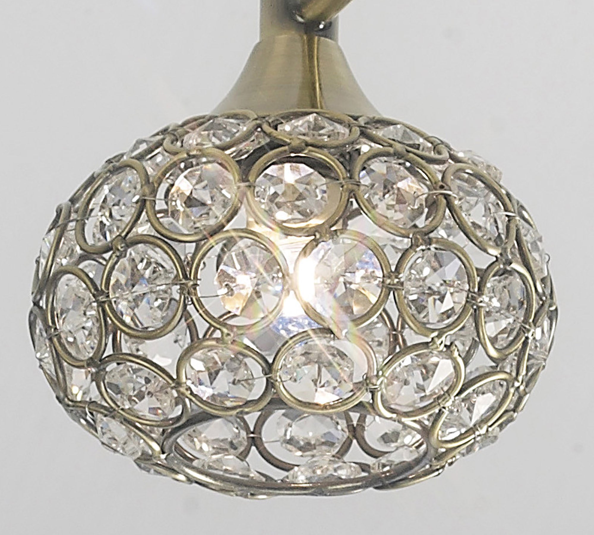 cara_IL30948