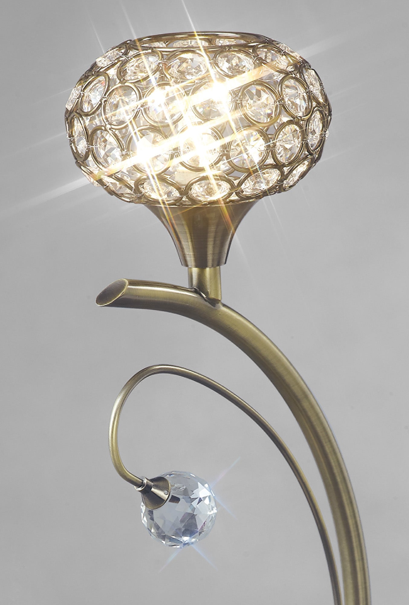 cara_IL30949