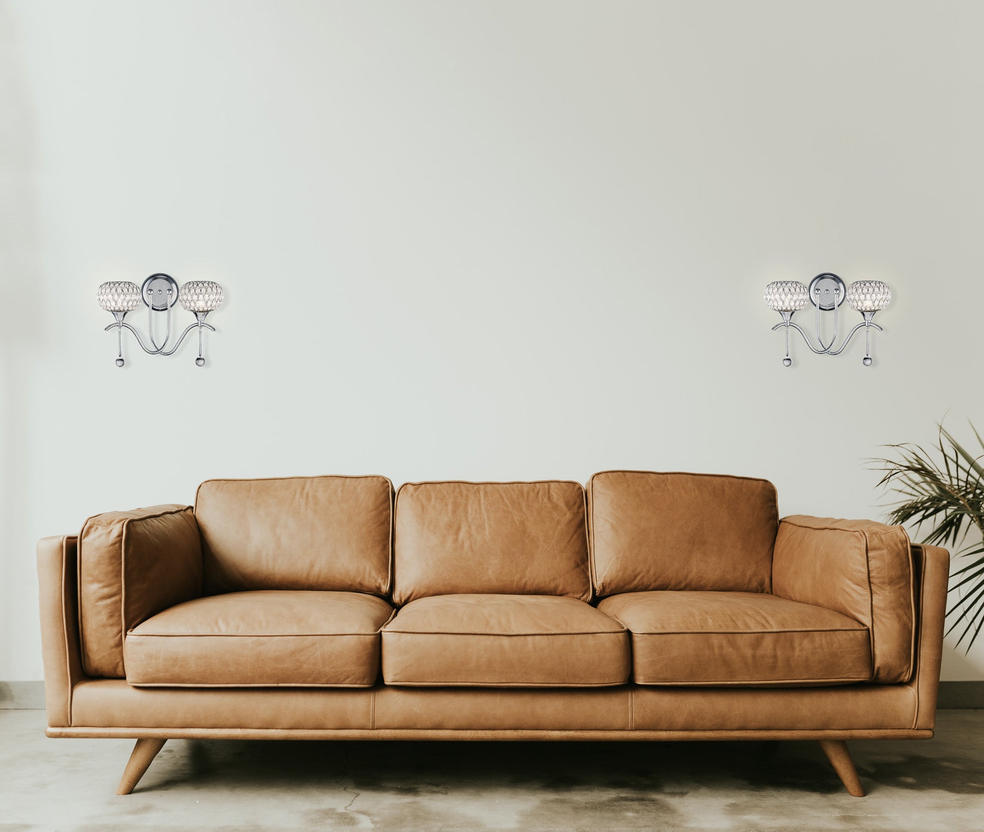 chelsie_IL31501