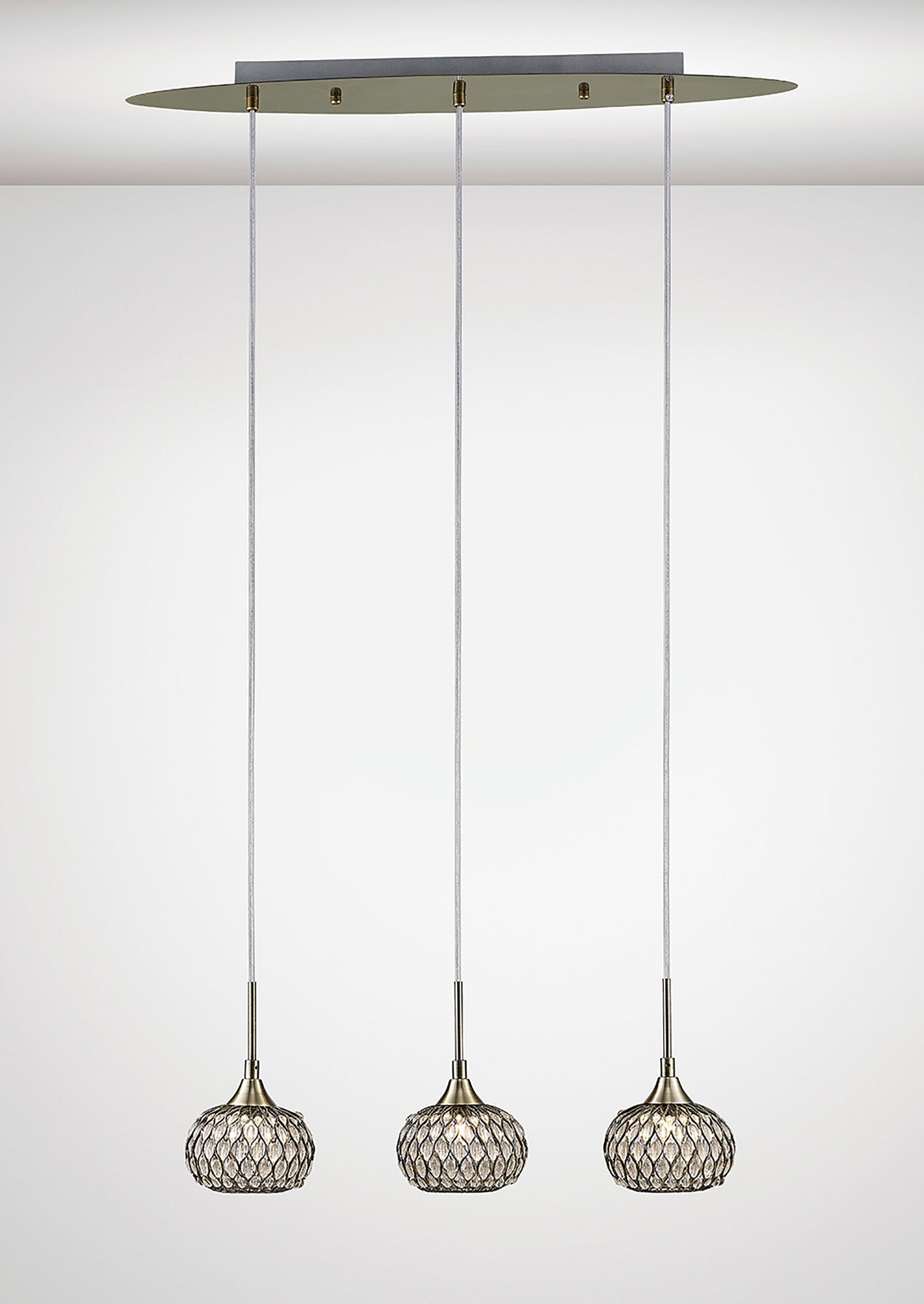 chelsie_IL31514
