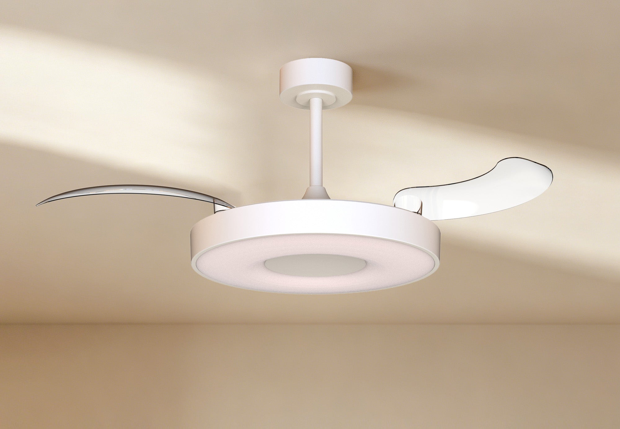 Coin Fan M_M9499
