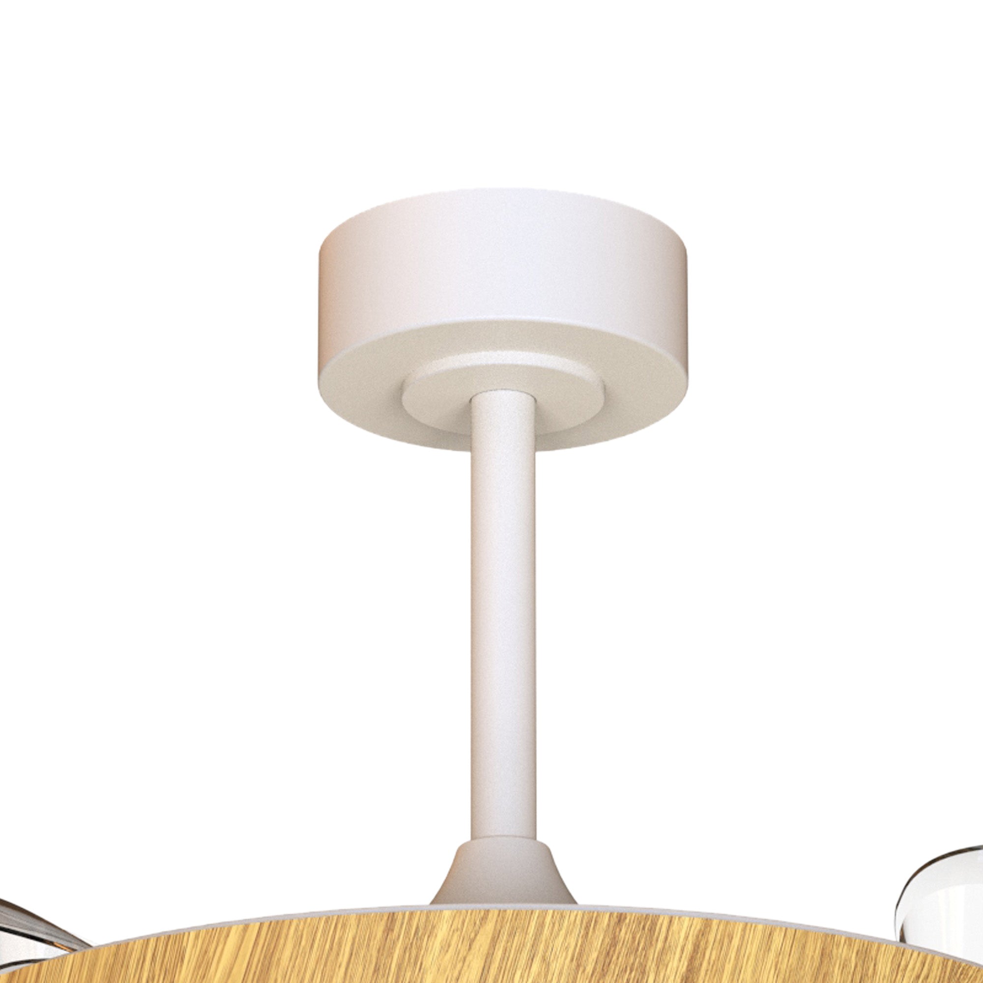 Coin Fan M_M9500
