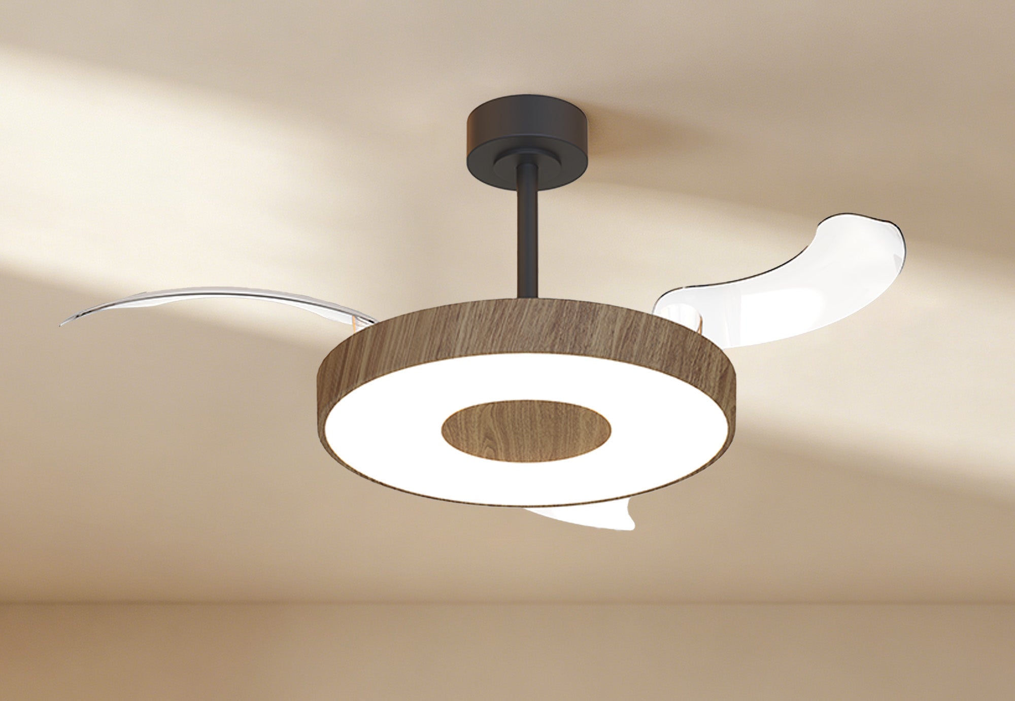 Coin Fan M_M9641