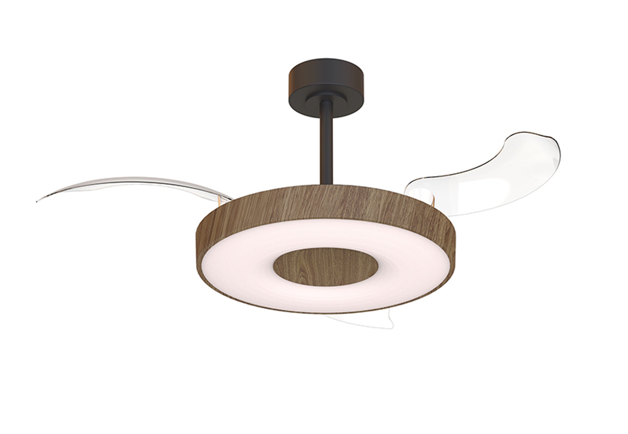 Coin Fan M_M9641