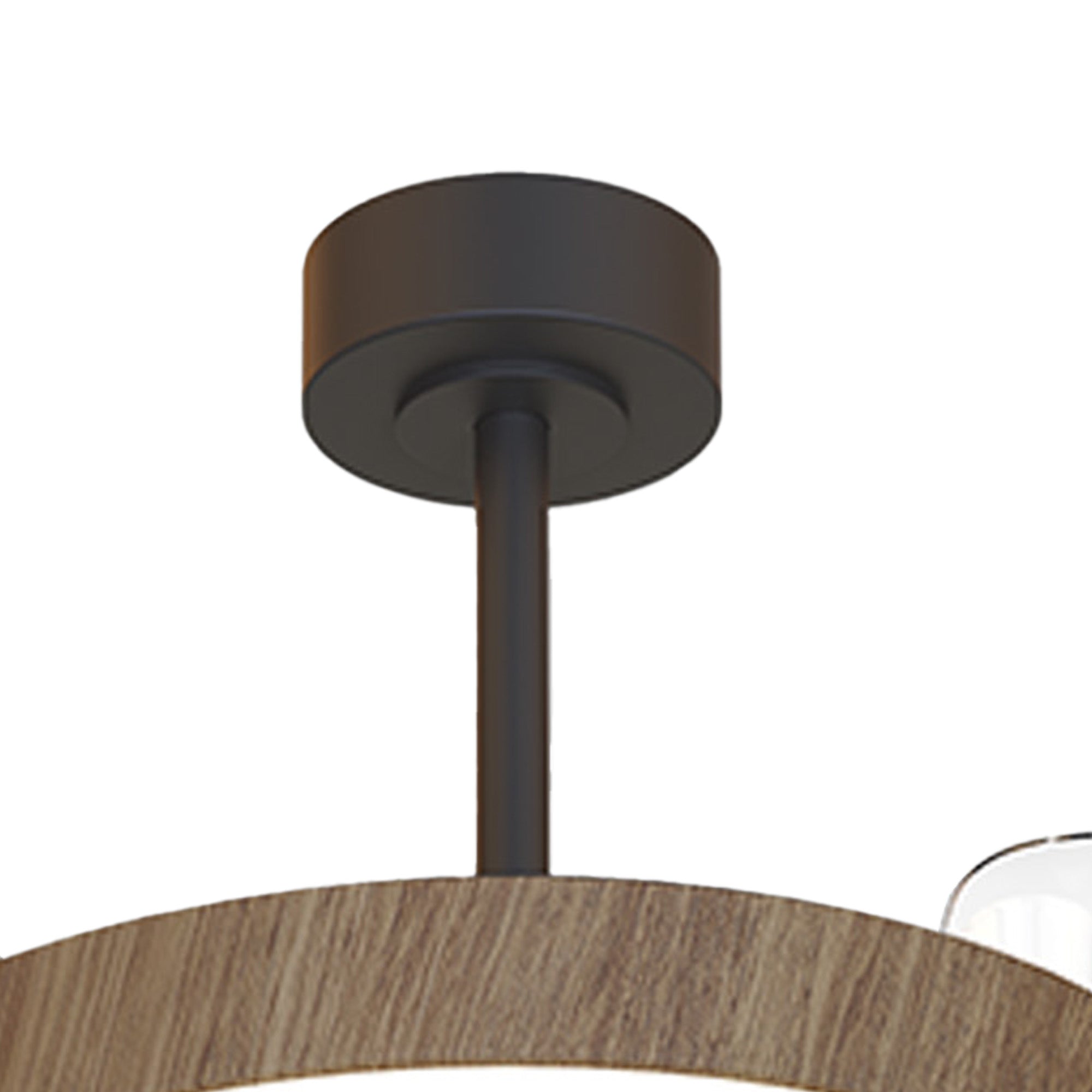 Coin Fan M_M9641